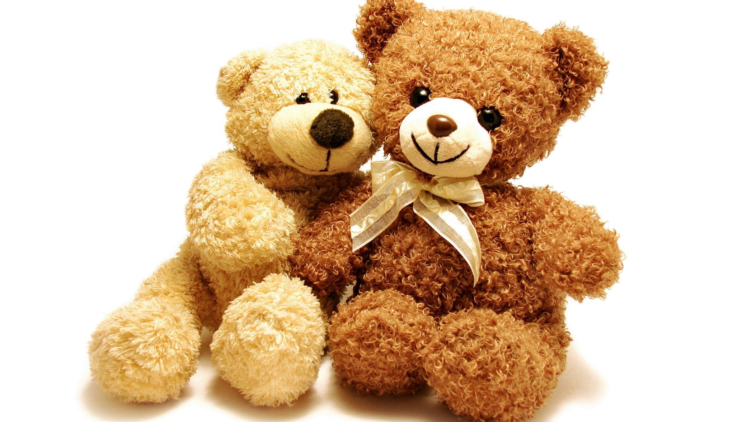 Wallpaper Teddy bears, Soft toys, 4K, Cute