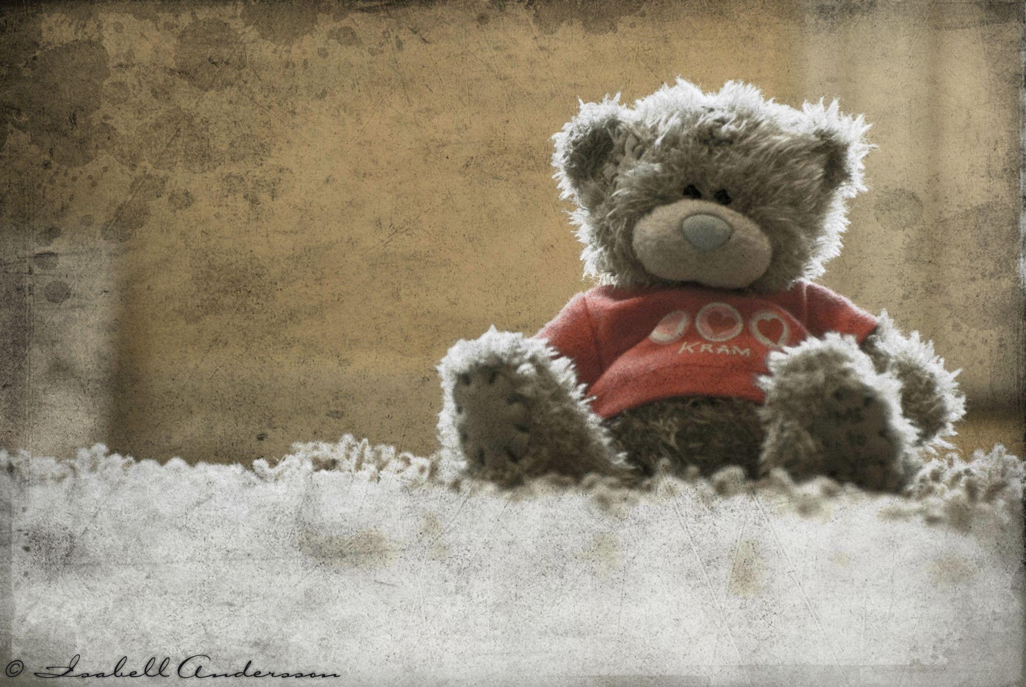 Teddy Bear Wallpaper iPhone HD Wallpaper