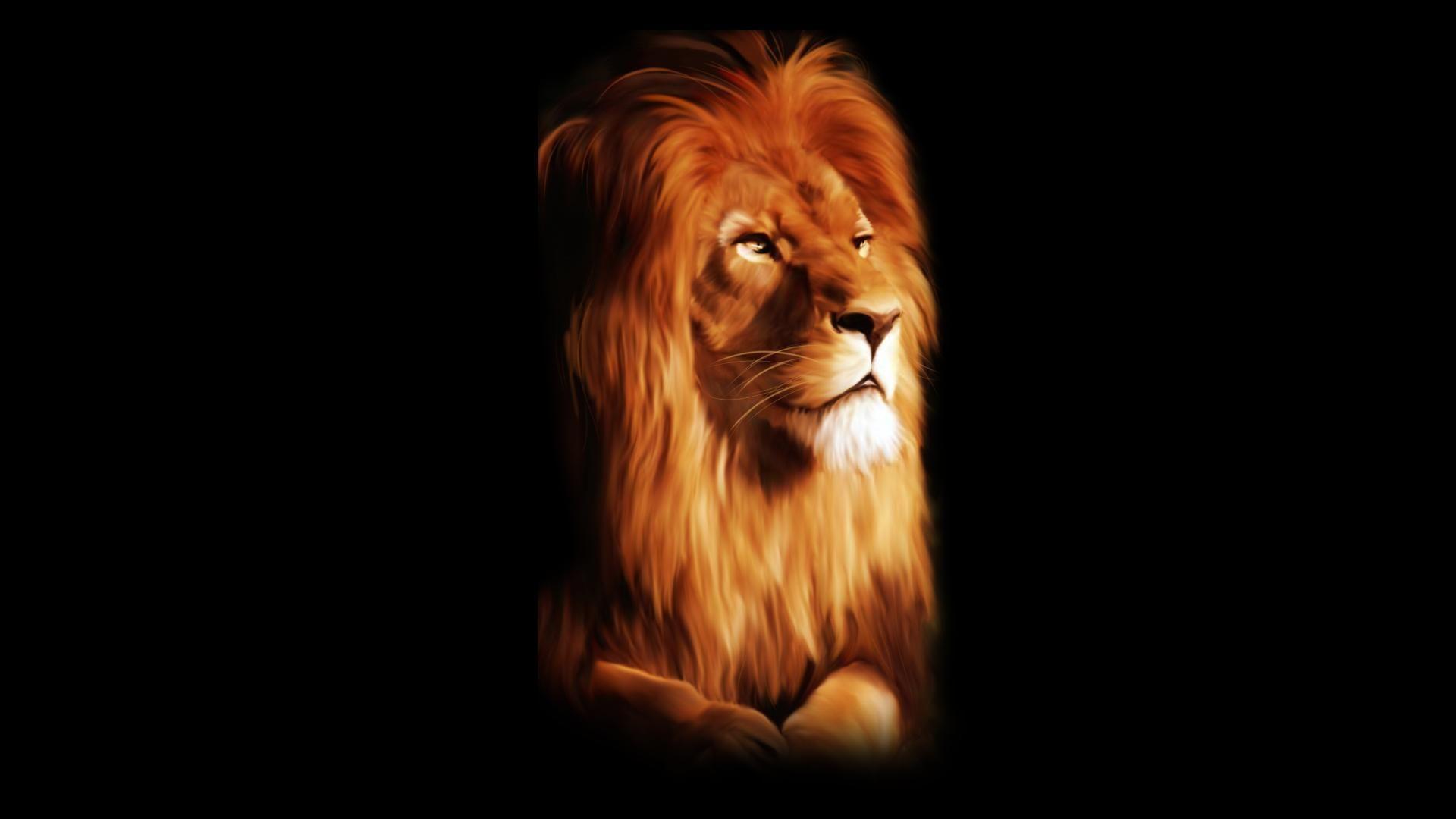 Dangerous & Angry Lion image. Beautiful image HD Picture