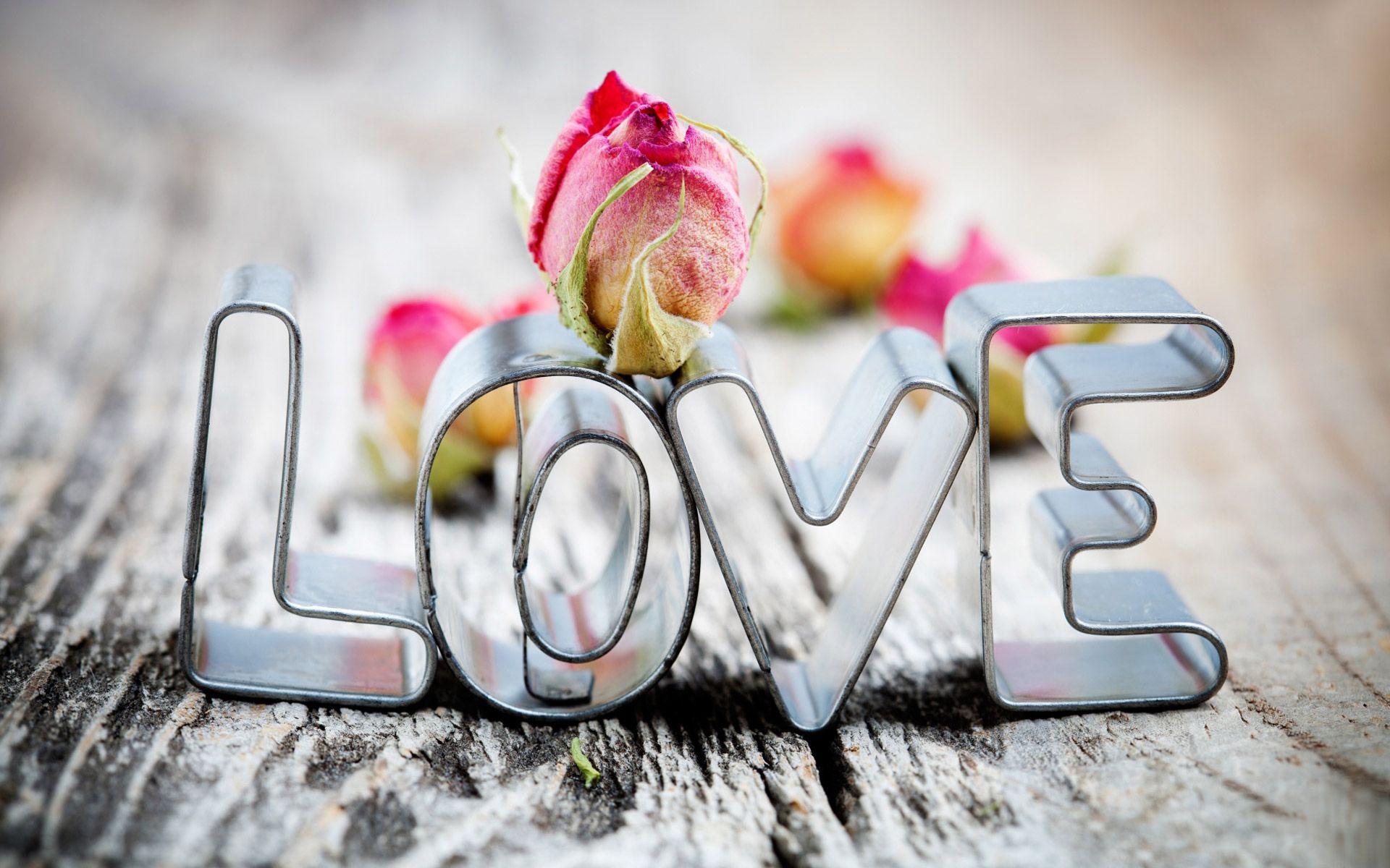 I Love You HD Wallpaper HD Image picture Quotes Photo Cover