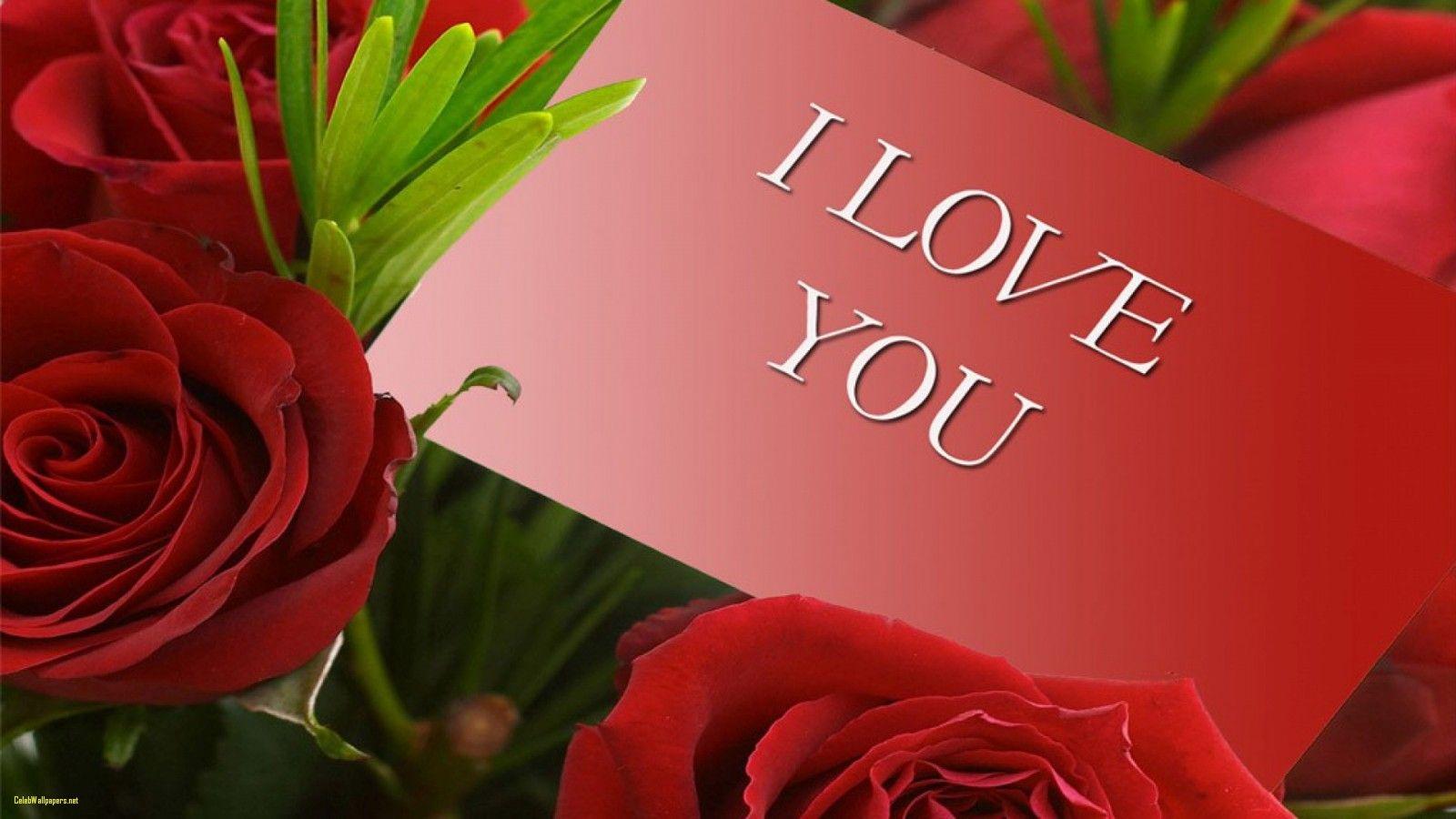Beautiful Rose Love Card HD Wallpaper I Love You HD Image