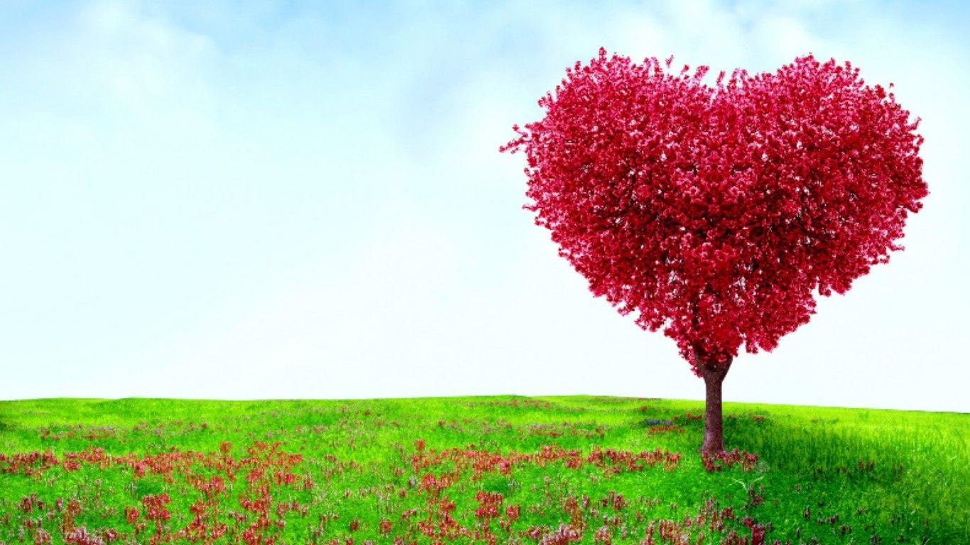 Other: Love Tree Nature Trees Cute HD Wallpaper for HD 16:9 High