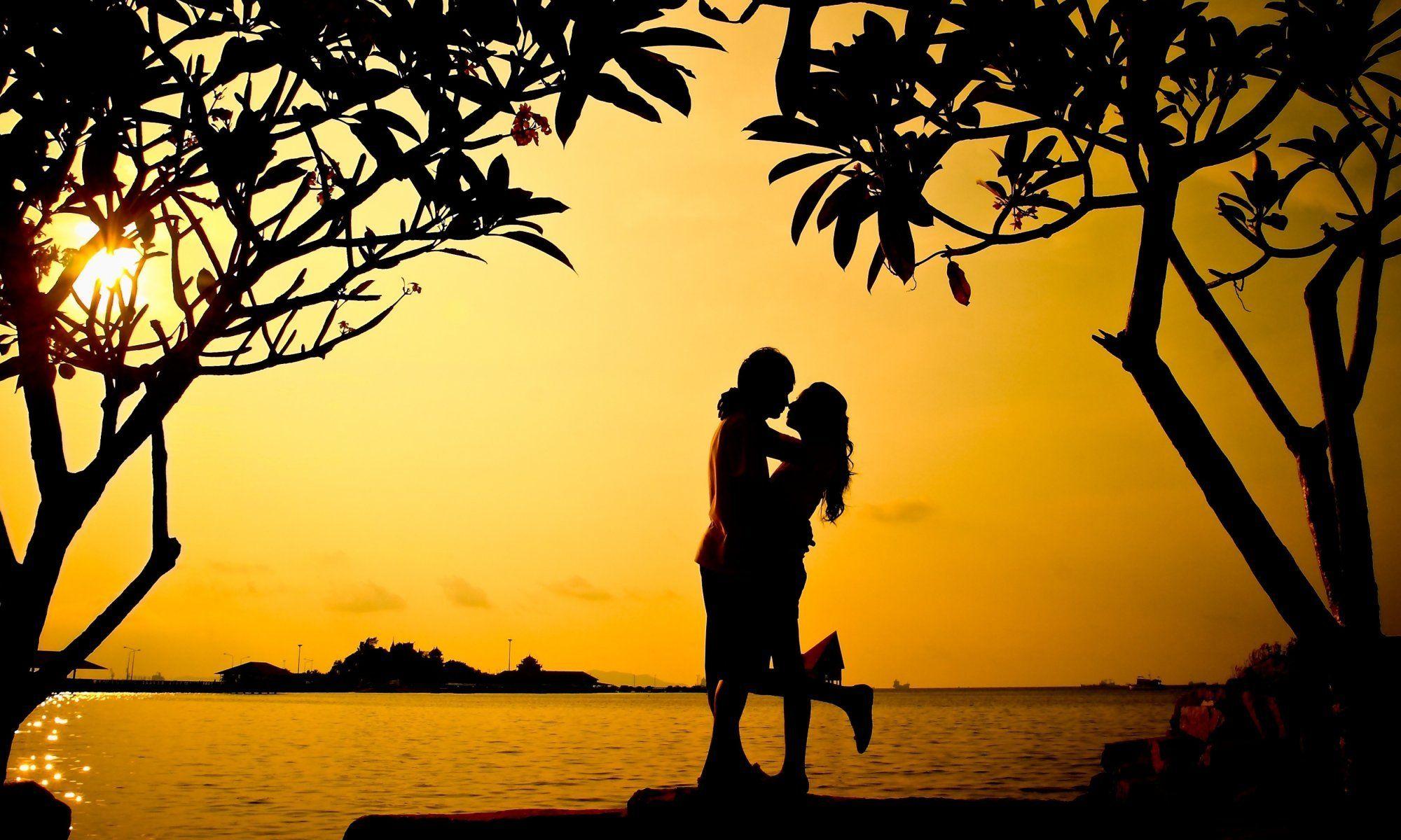 mood girl guy love men a woman hug tree leaves silhouette sunset