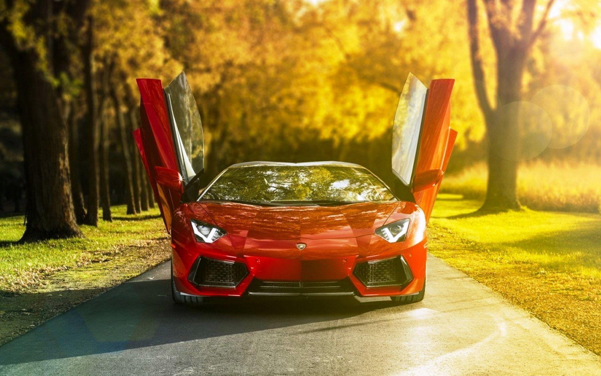 Lamborghini car best scene and view latest wallpaper HD