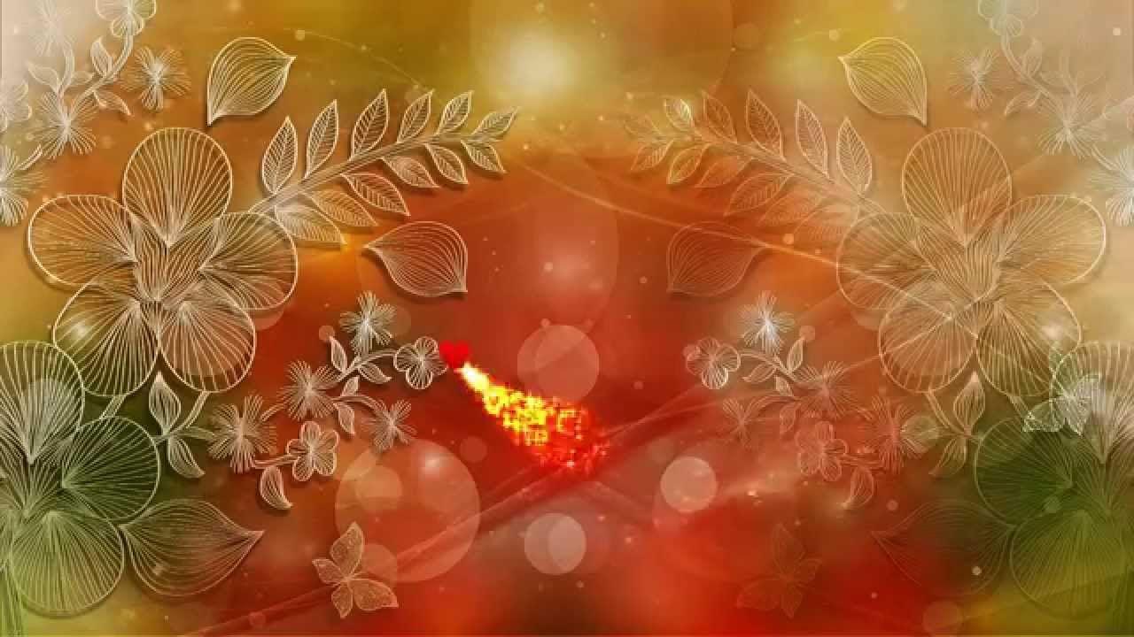 Free Love Motion Background Premium HD Video Wedding Background