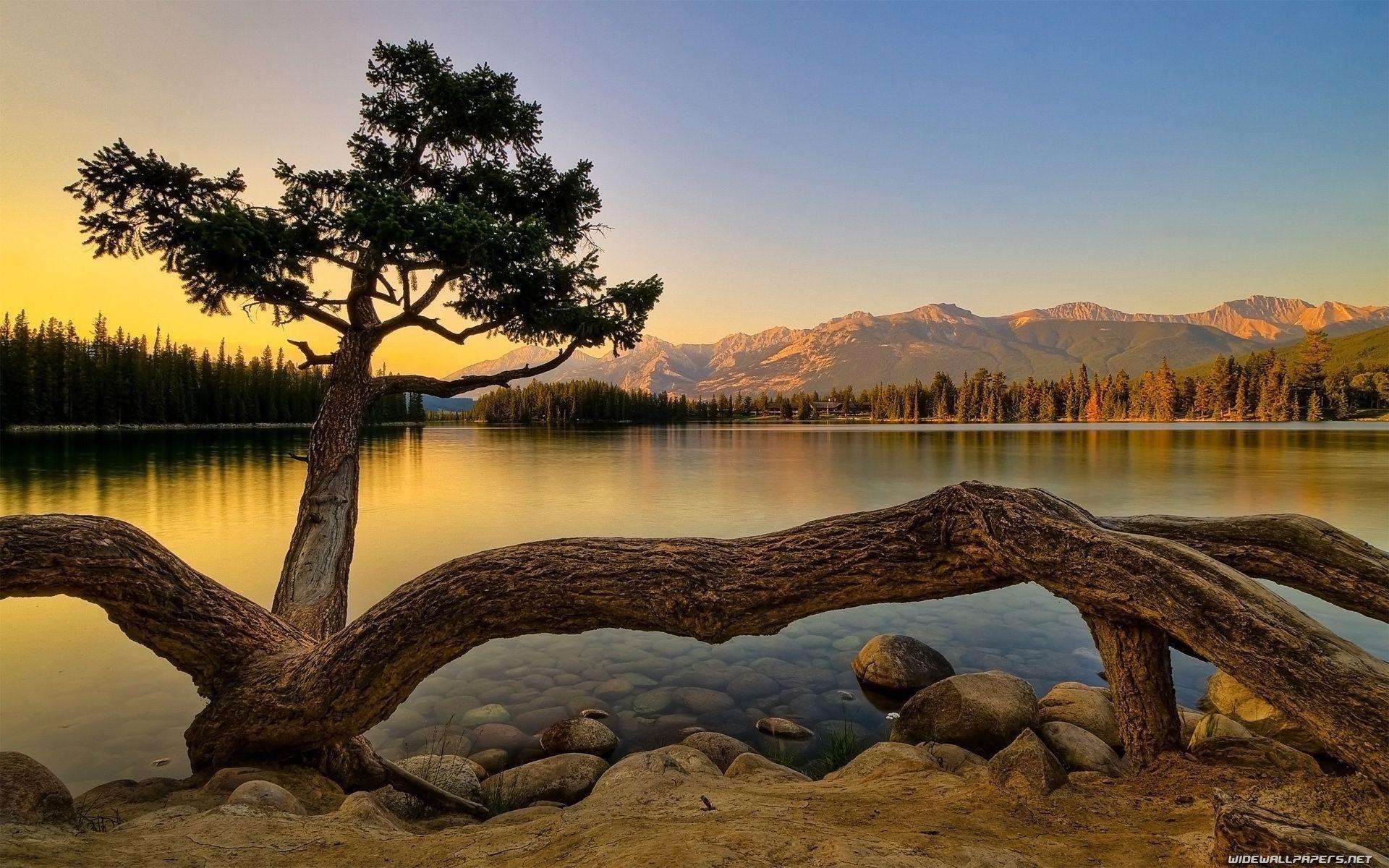 Nature Background Photo Download