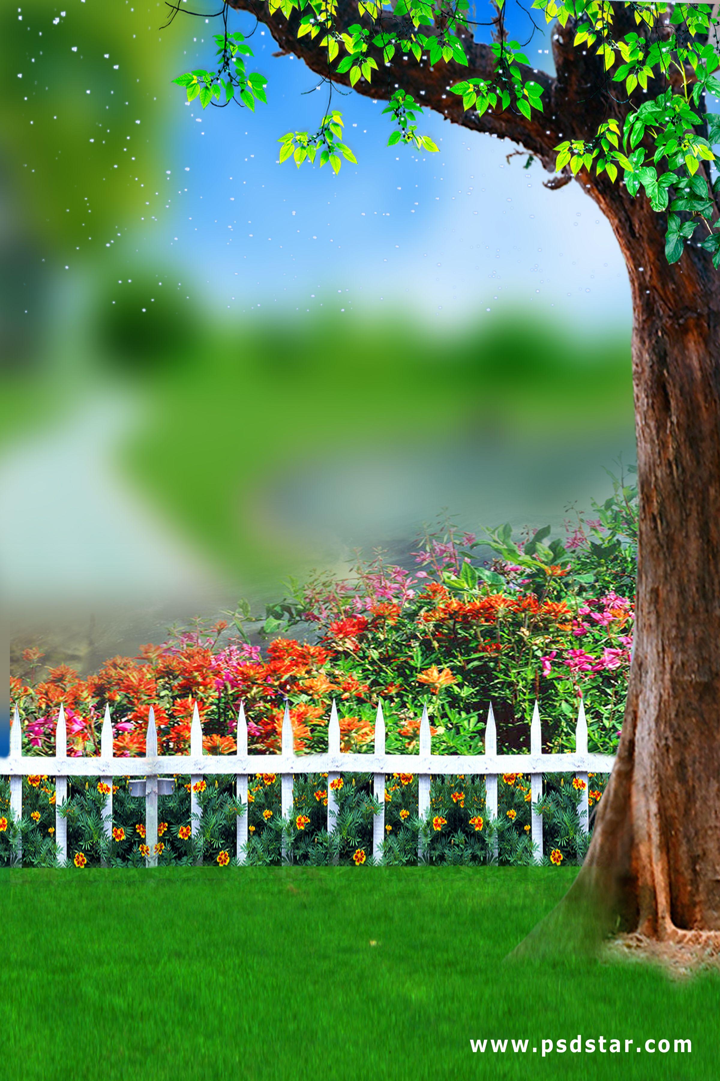 Studio Garden Background Hd Images For Photoshop : और background psd