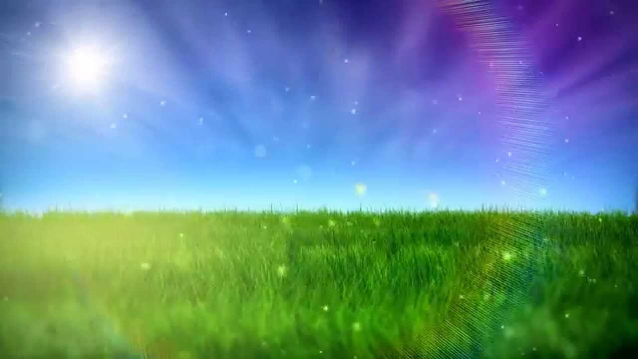 Free Nature Video BackGround