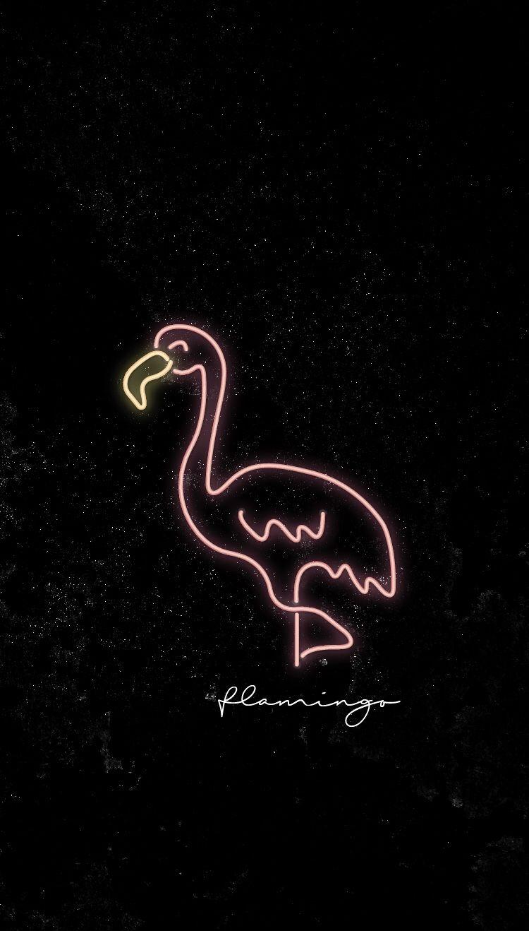 Flamingo. oi. Flamingo, Wallpaper and Wallpaper