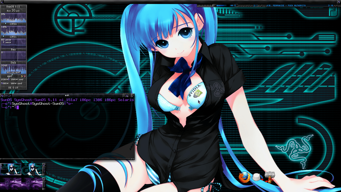 Oi SunOS 5.11 Solaris ENLIGHTENMENT 16 WM