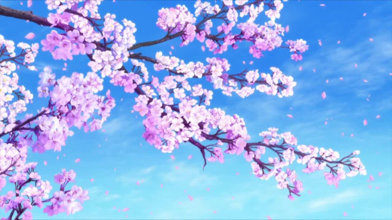 Anime Pink Tree Wallpapers - Wallpaper Cave
