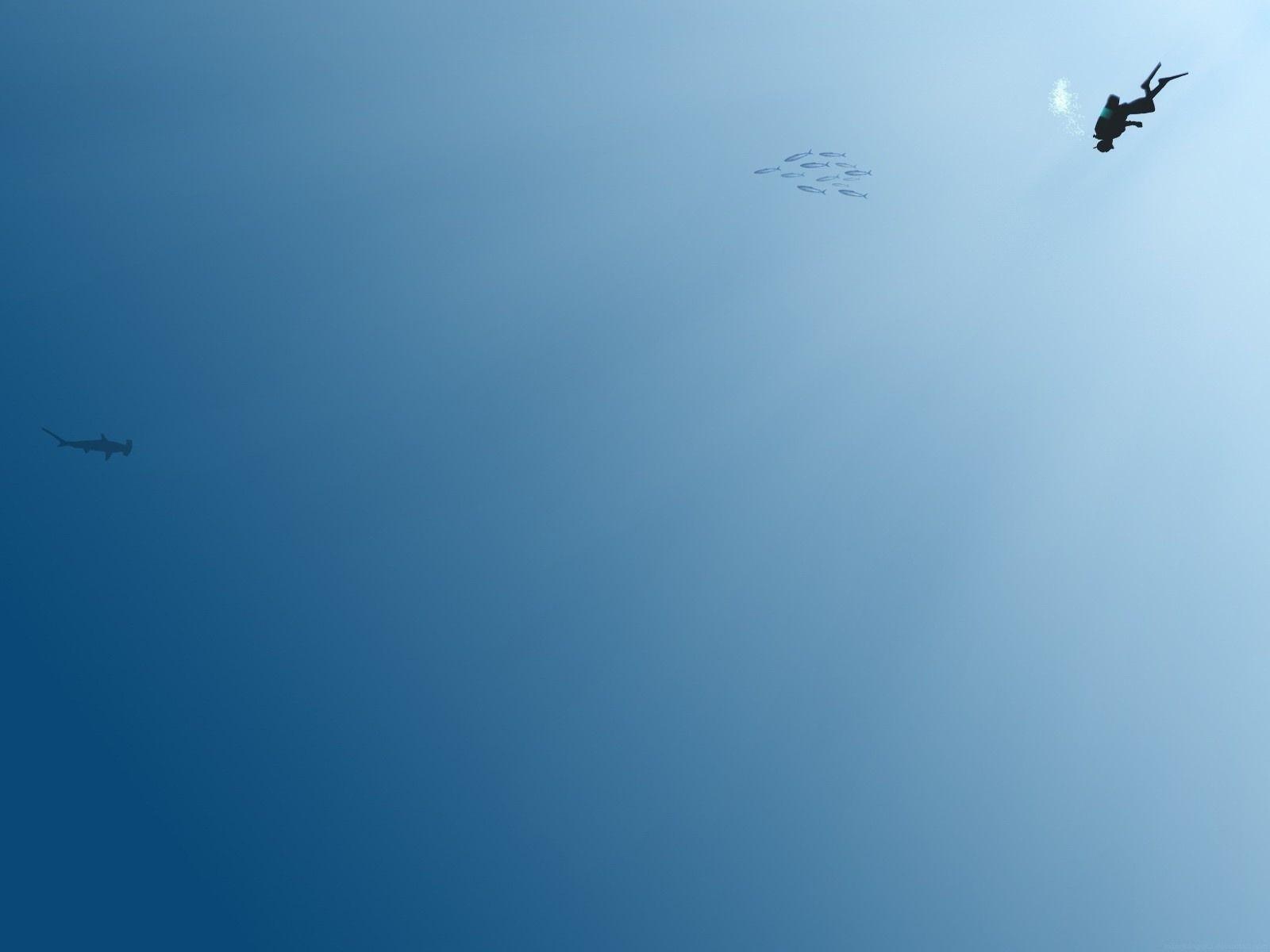 Diving Ocean Simple Minimalist Desktop Wallpaper