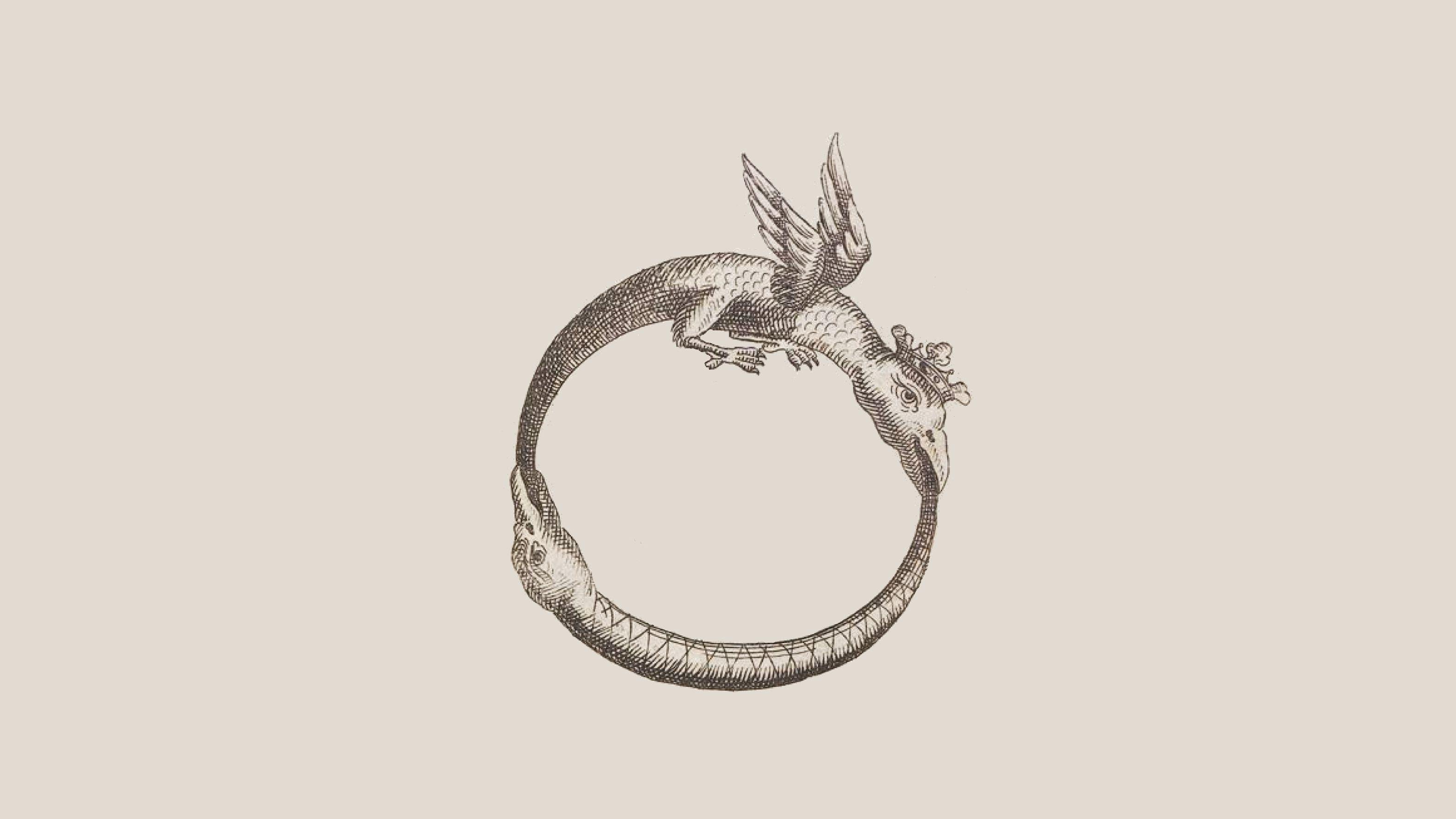 Ouroboros Full HD Wallpaper and Background Imagex1770