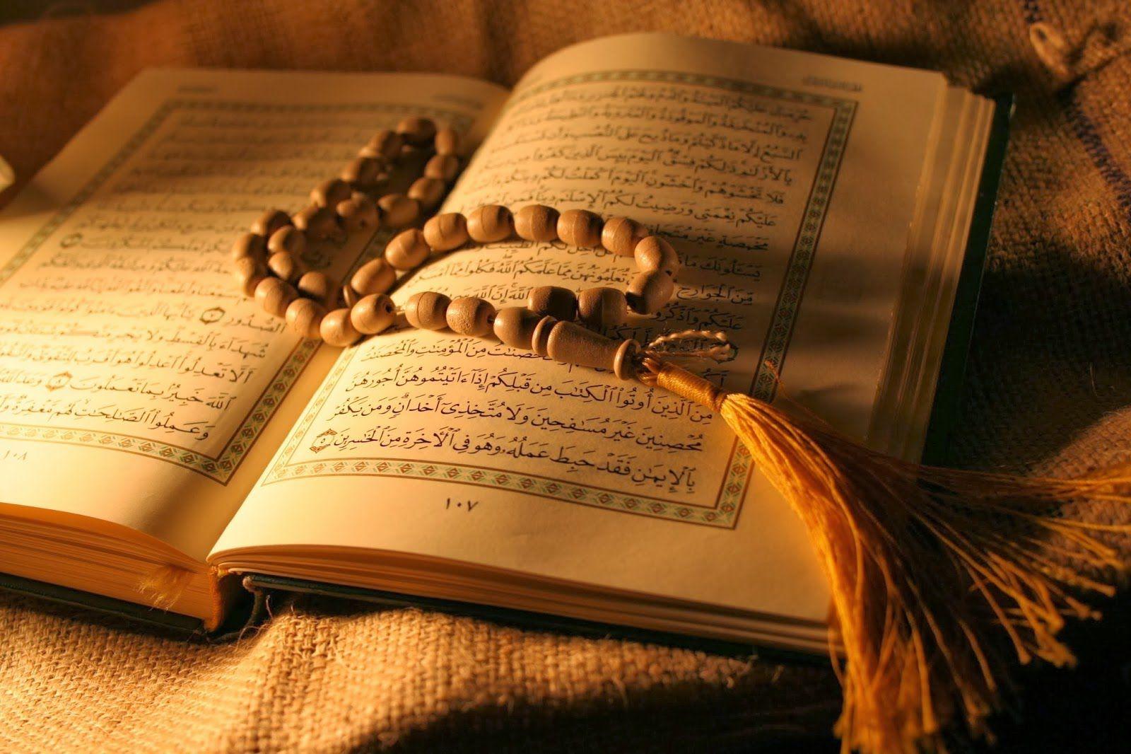 Beautiful Quran Quotes, Verses & Surah [WITH PICTURES]