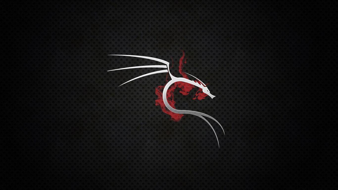 Kali Linux HD Wallpaper and Background Image