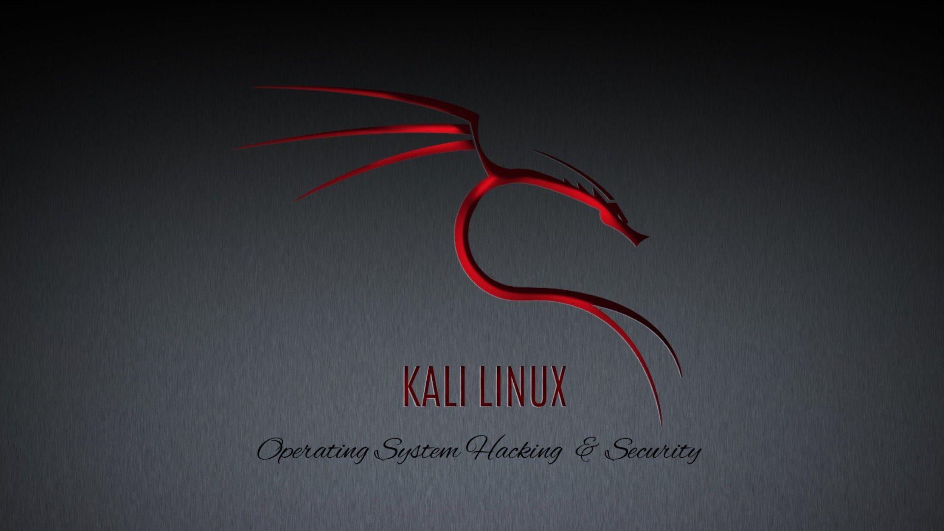 Kali Linux Wallpapers 1920x1080 - Wallpaper Cave