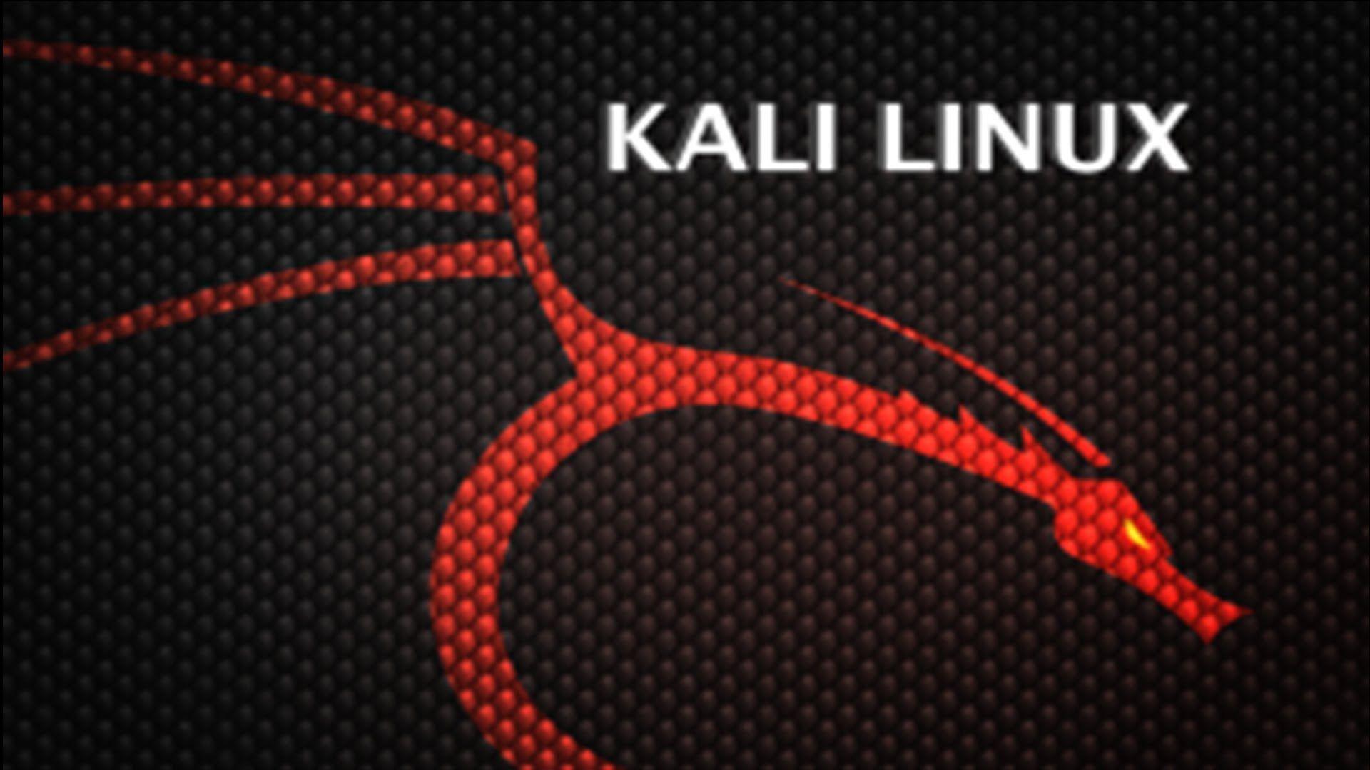 Kali Linux Dragon HD Wallpaper