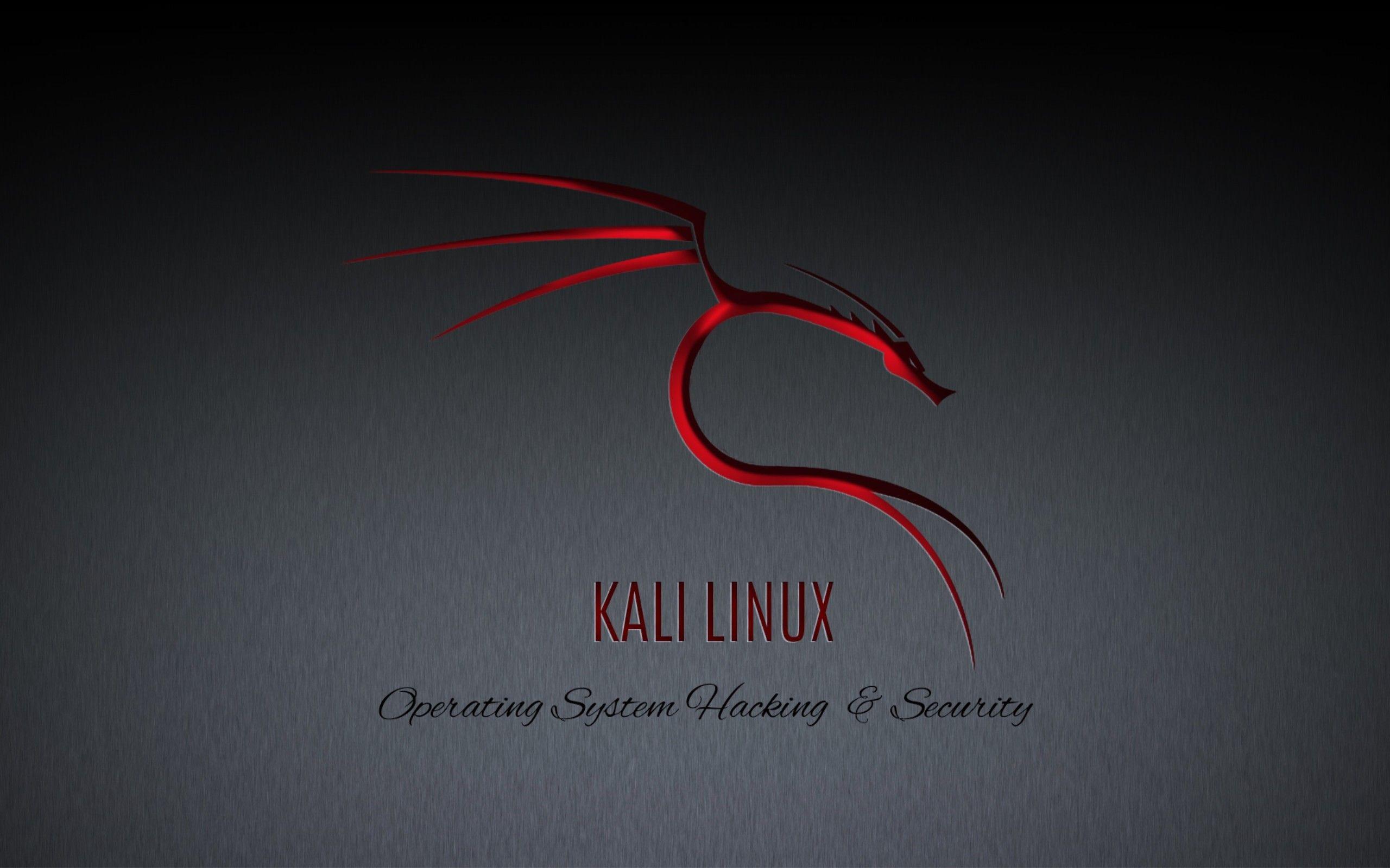 Red Dragon Kali Linux Desktop wallpaper 1920x1080