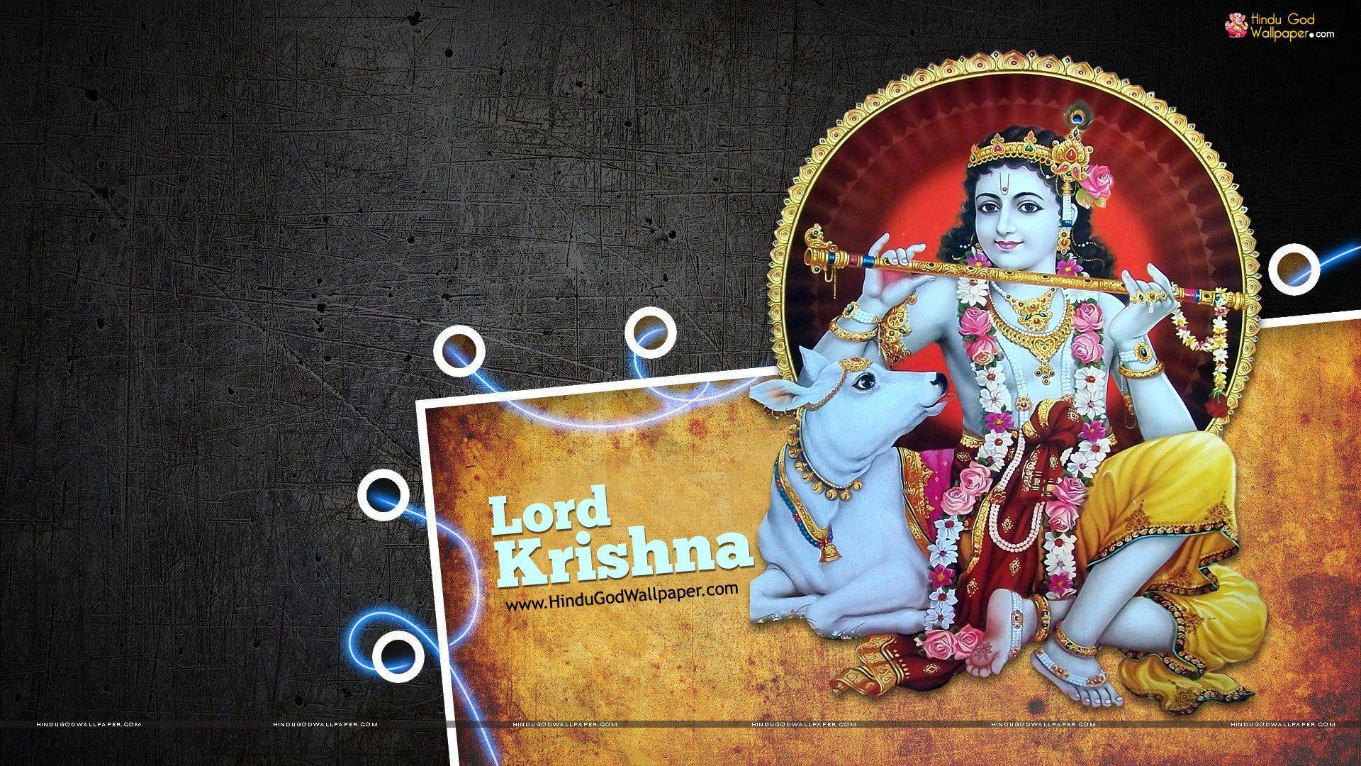 Lord Krishna Top Hd 1920x1080 Desktop Wallpapers Wallpaper Cave