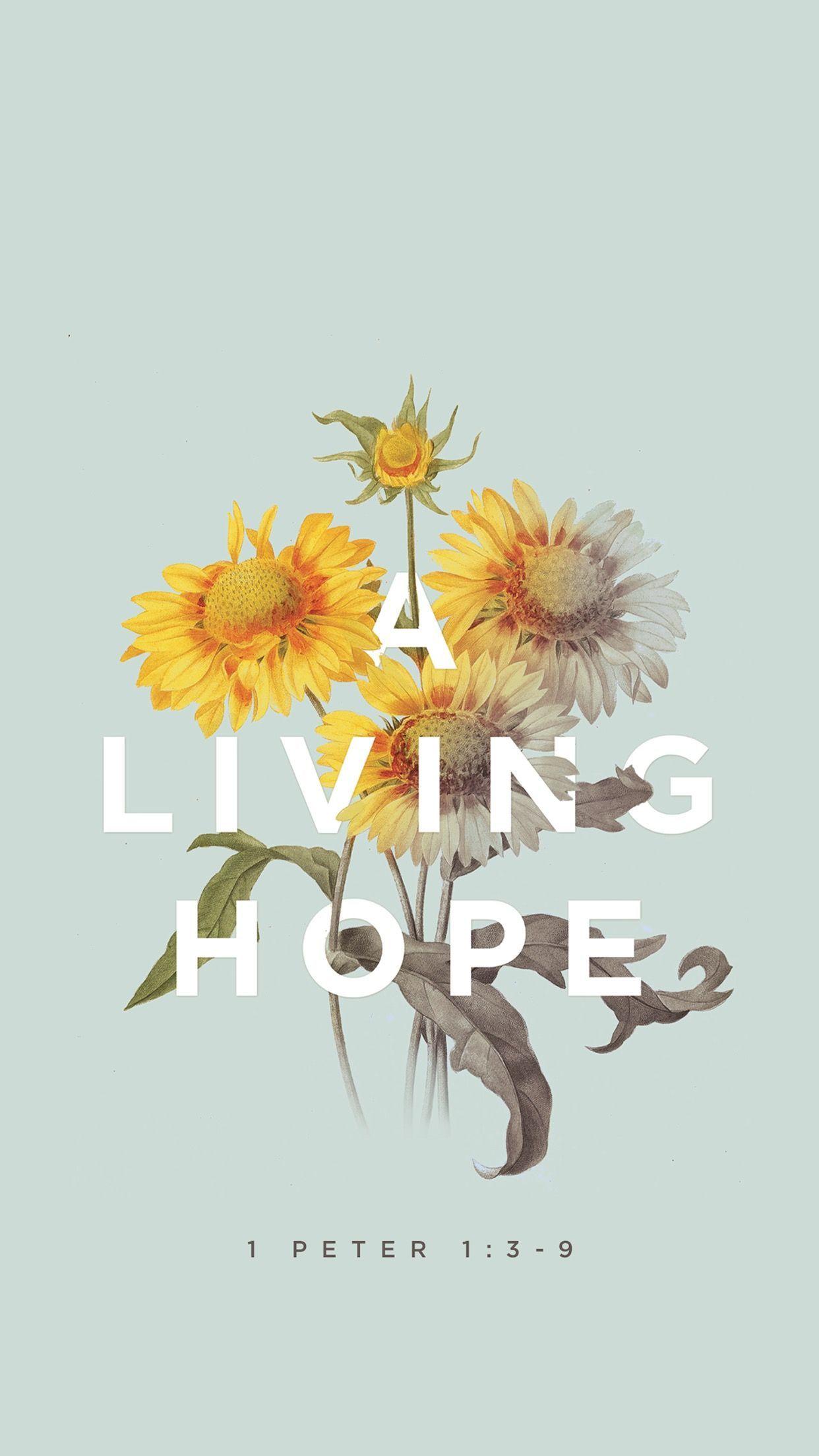 A living hope // mobile bible verse wallpapers by Godsfingerprints.co
