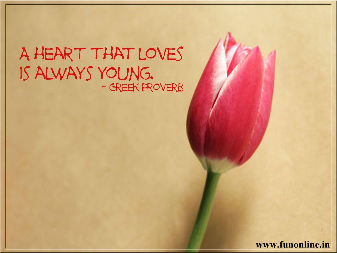 Love Quotes, Cute Love Quotes And Sayings Sayings