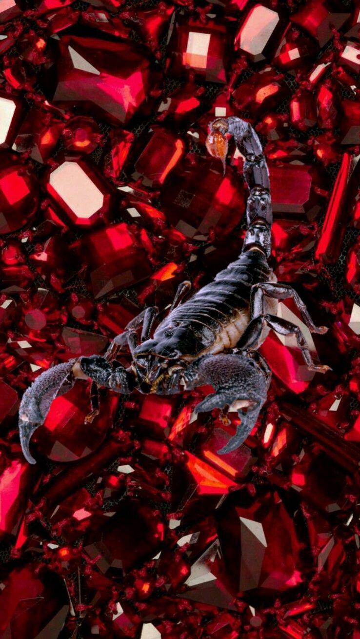 Black scorpion on rubies iPhone wallpaper. iPhone vertical