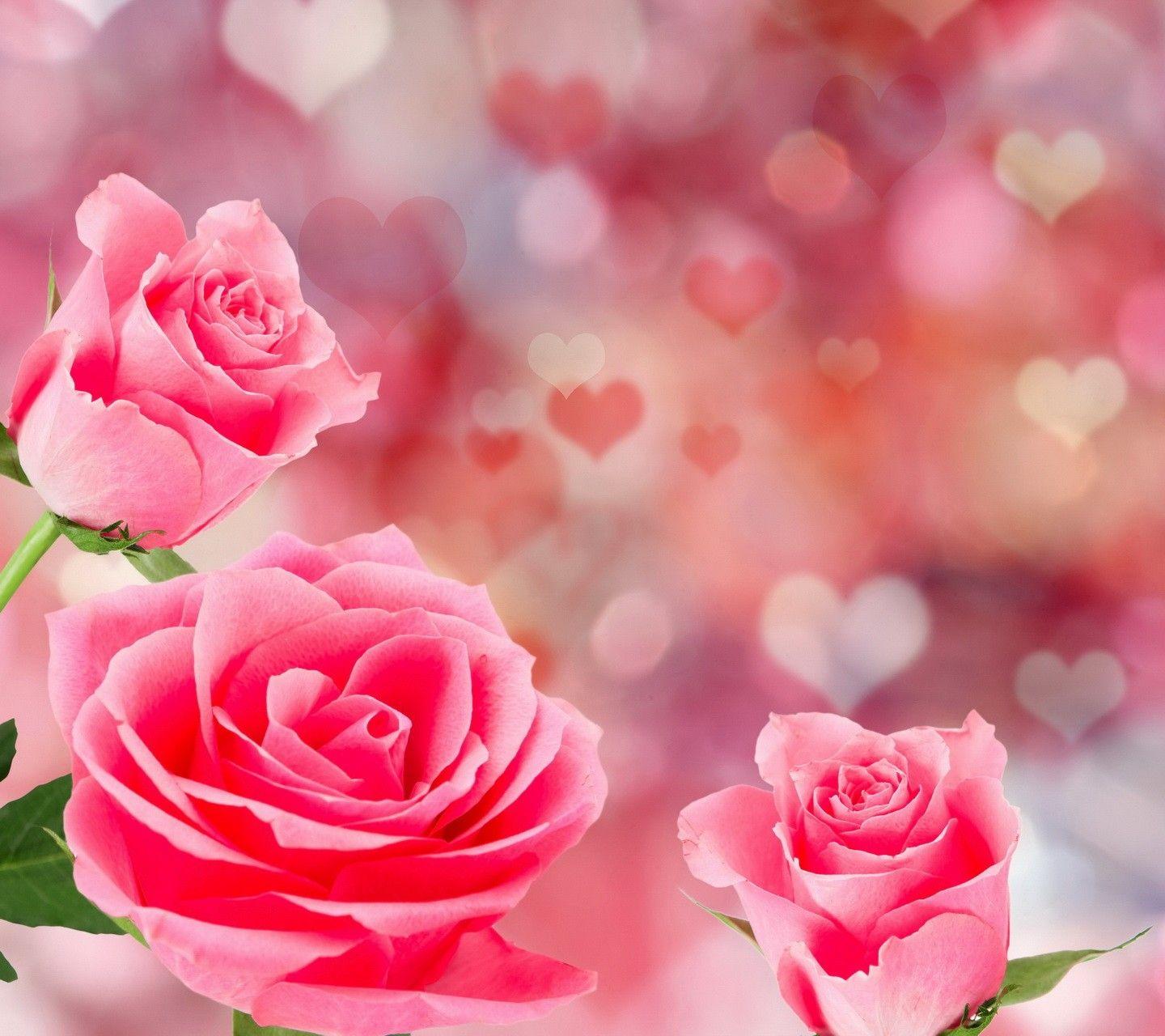 Flower Pink Hearts Roses Flowers HD Wallpaper For Mobile Flower HD
