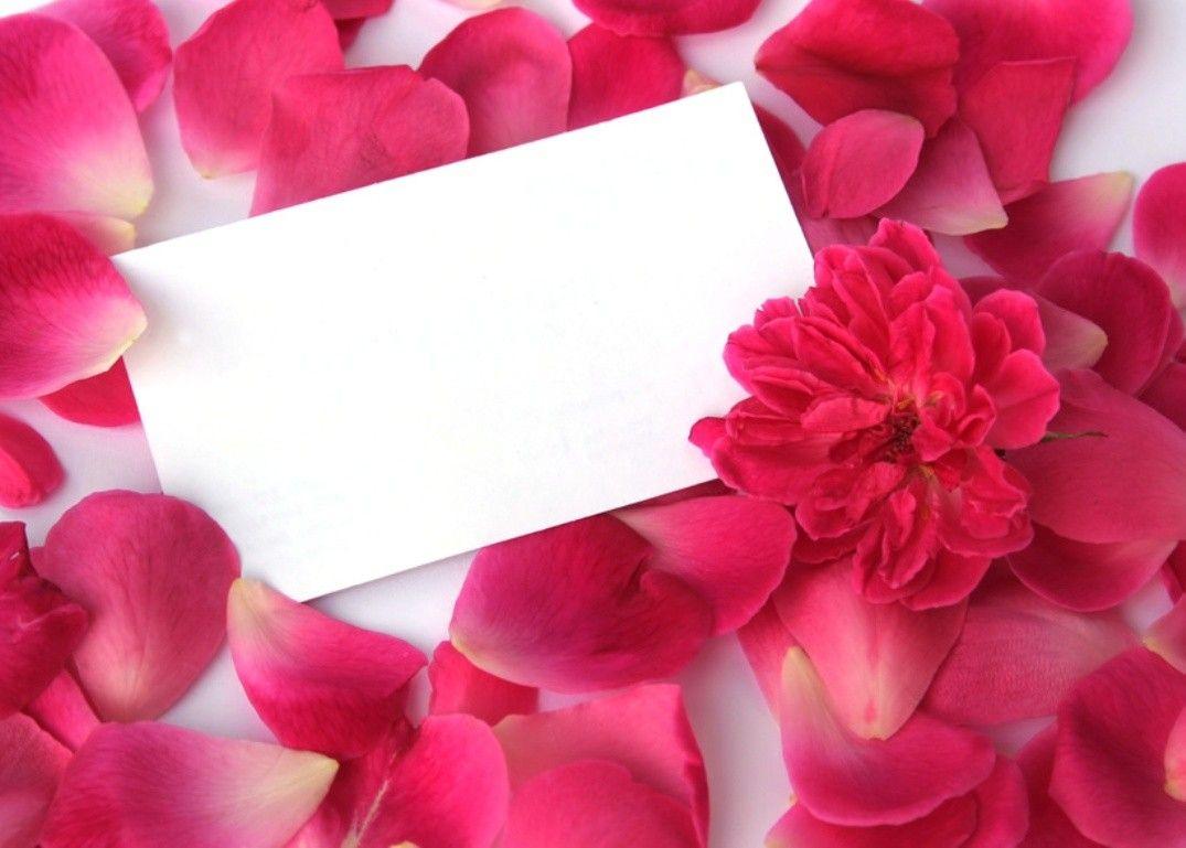 Flower: Love Pink Flowers Note Petals Hearts Wallpaper Flower Simple