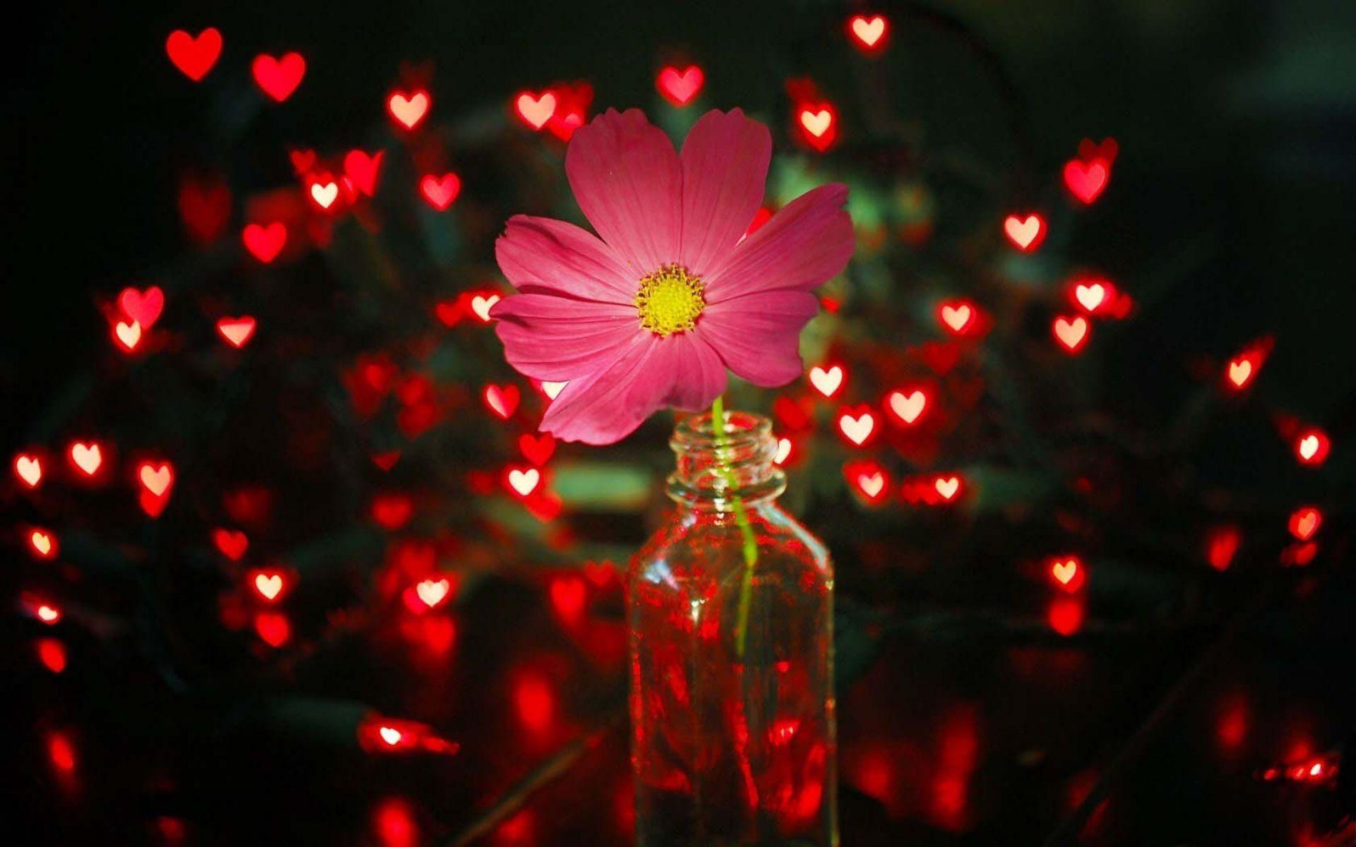 Flower Pink Lights Red Hearts Wallpaper. HD Love Wallpaper