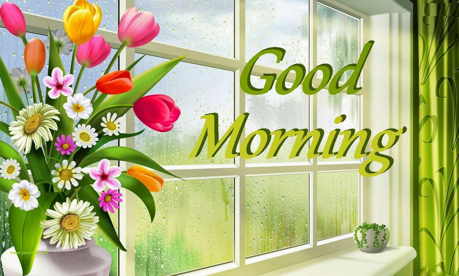 Good morning wallpaper for facebook download. Good morning wallpaper, Happy good morning image, Good morning image flowers