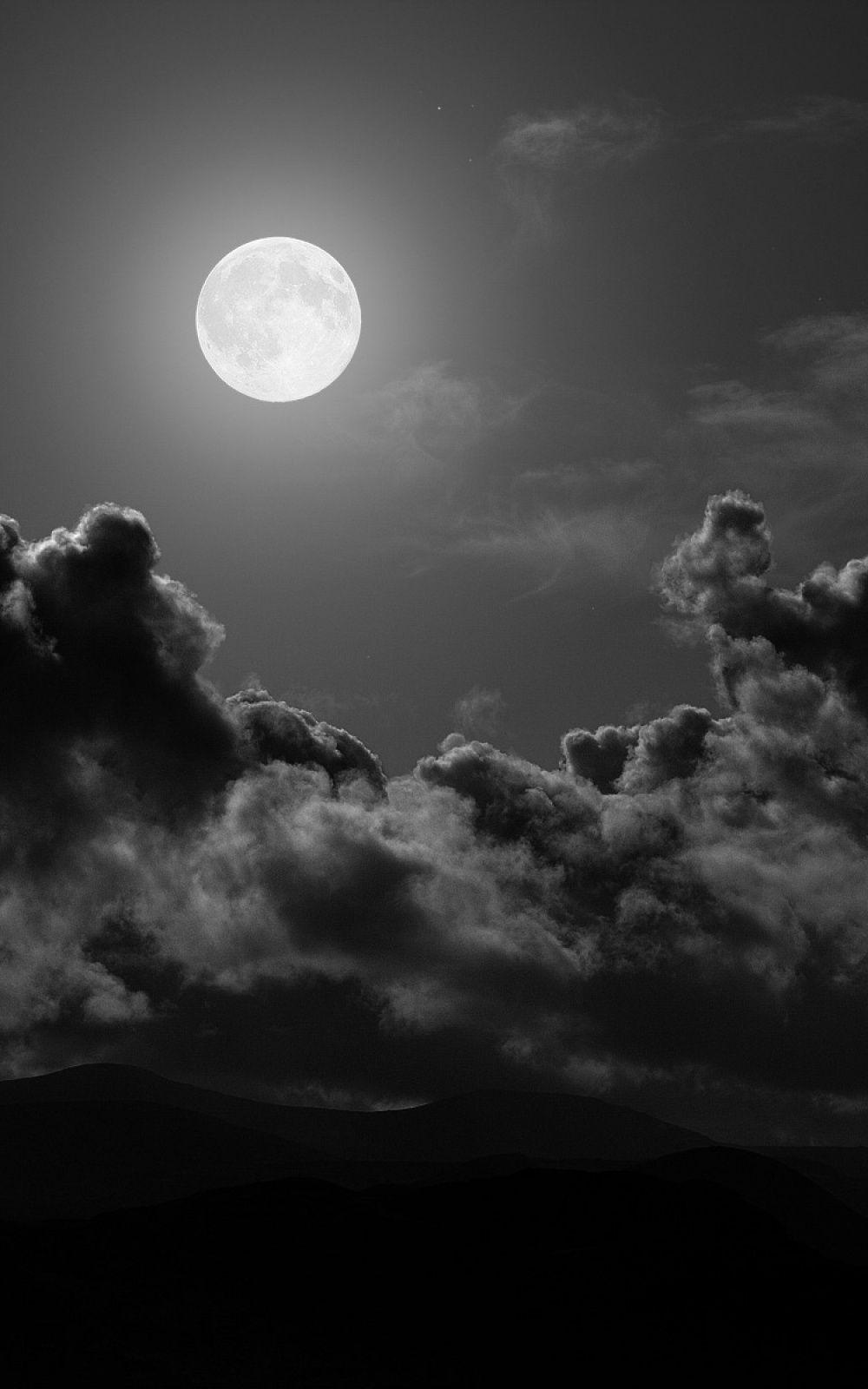 Full Moon Night Black And White Android Wallpaper free download