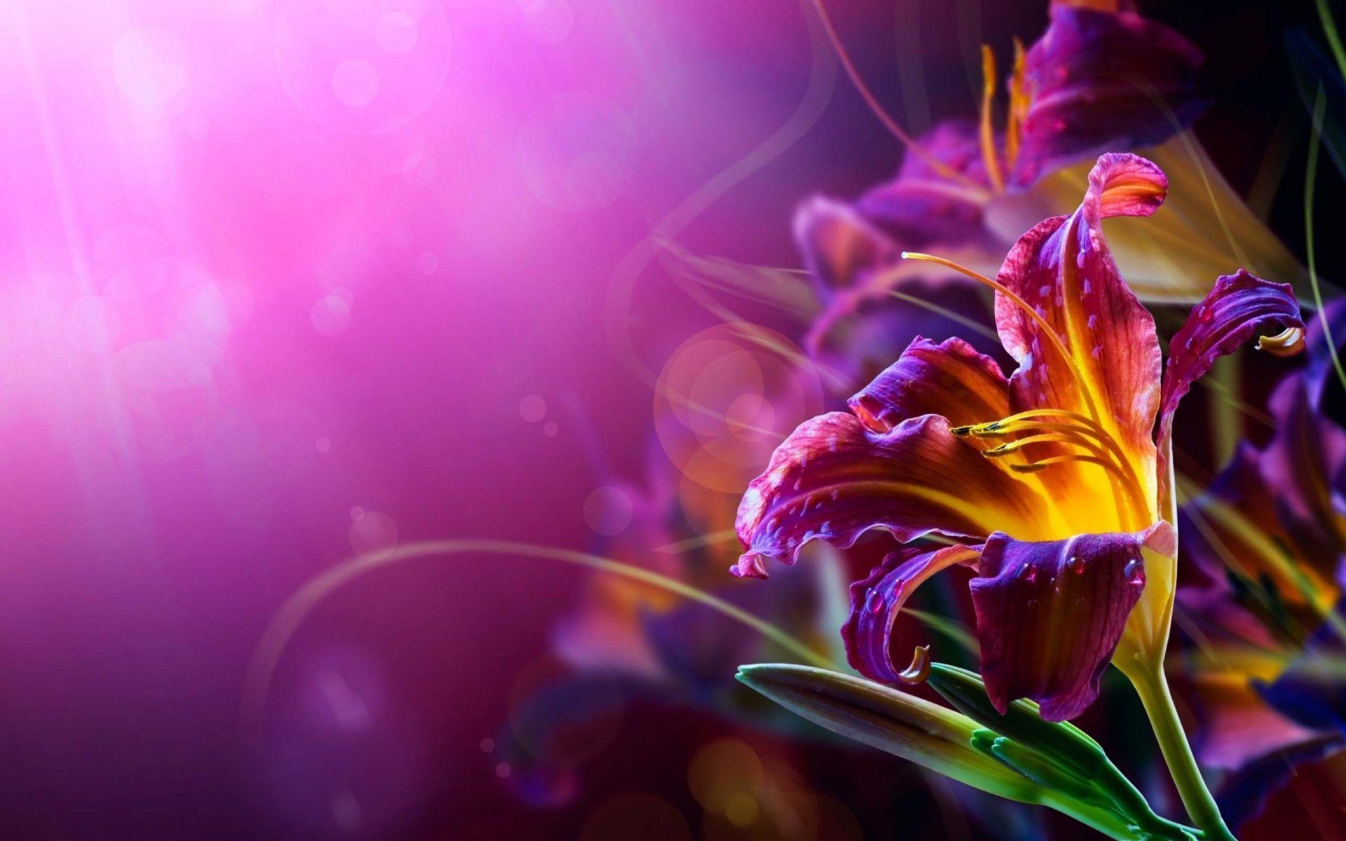 Lily With Colorful Background. HD Flowers Wallpaper for Mobile
