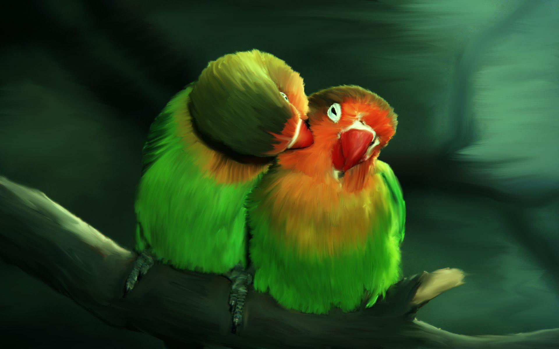Cute Love Bird Colorful Parrot HD Wallpaper Download