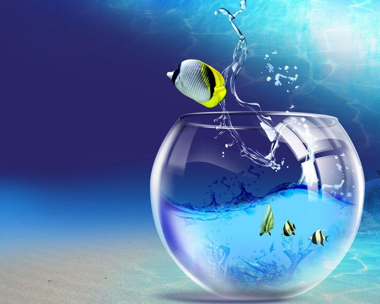 Full HD Wallpaper For PC