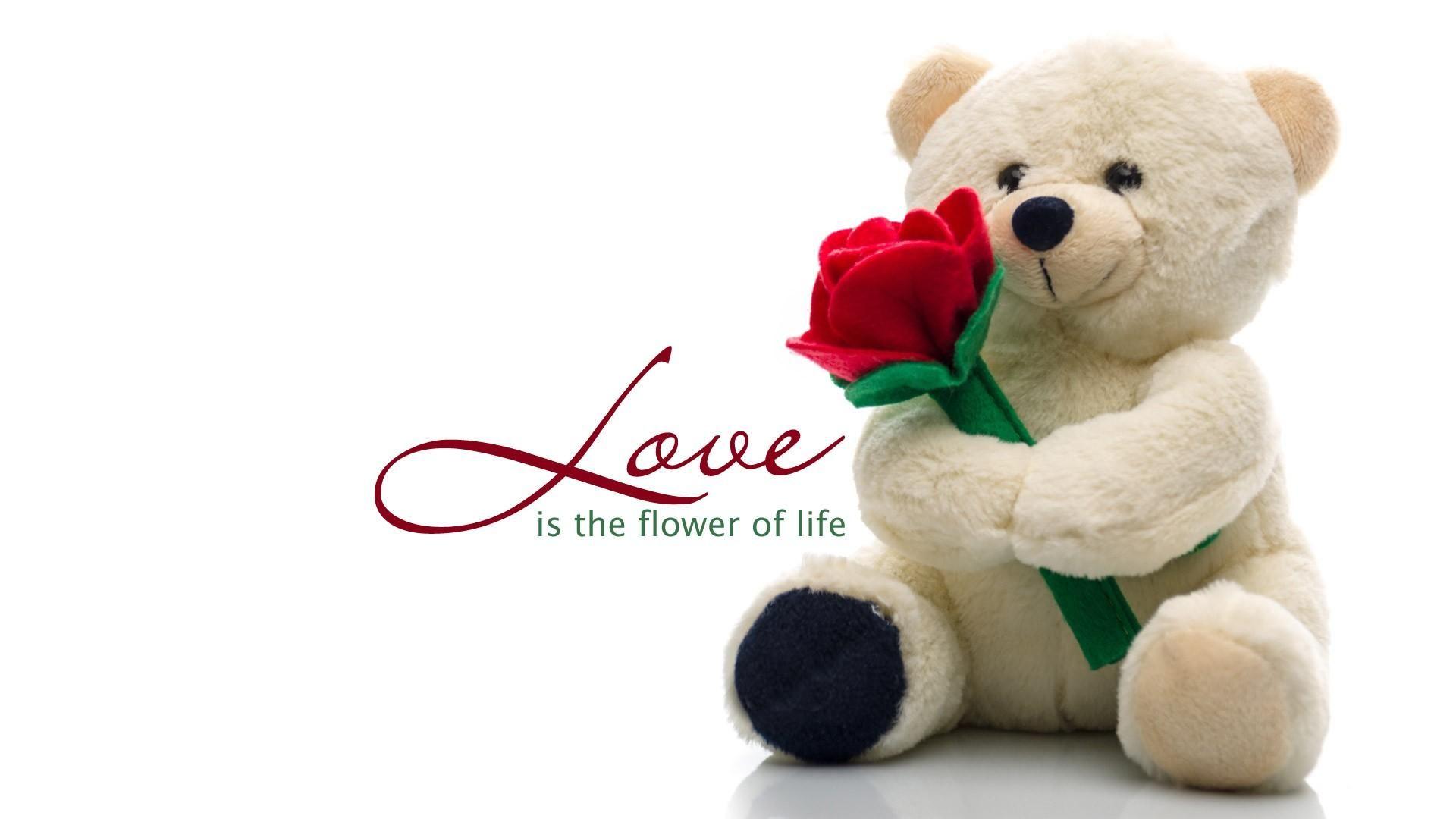 Cute teddy bear love wallpaper