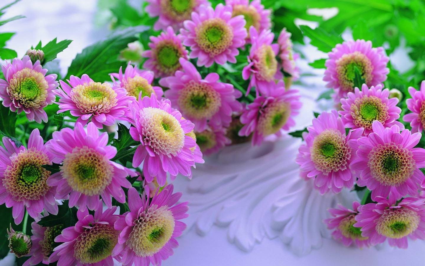 Flowers Background Picture For Desktop Free Download HD, Background
