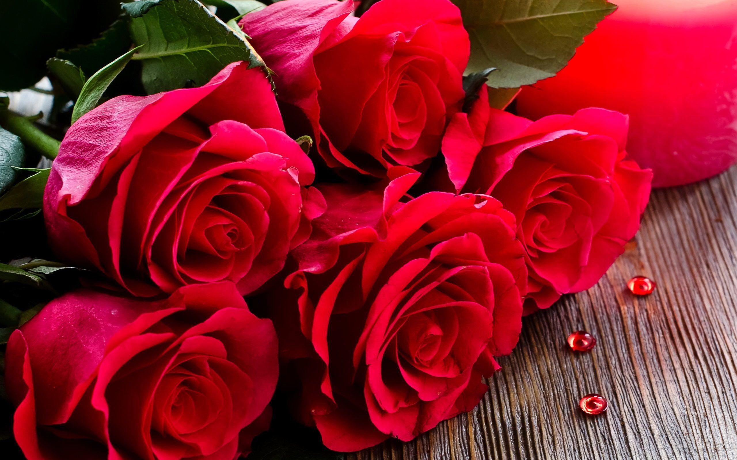 Red Rose Hd Wallpapers Wallpaper Cave