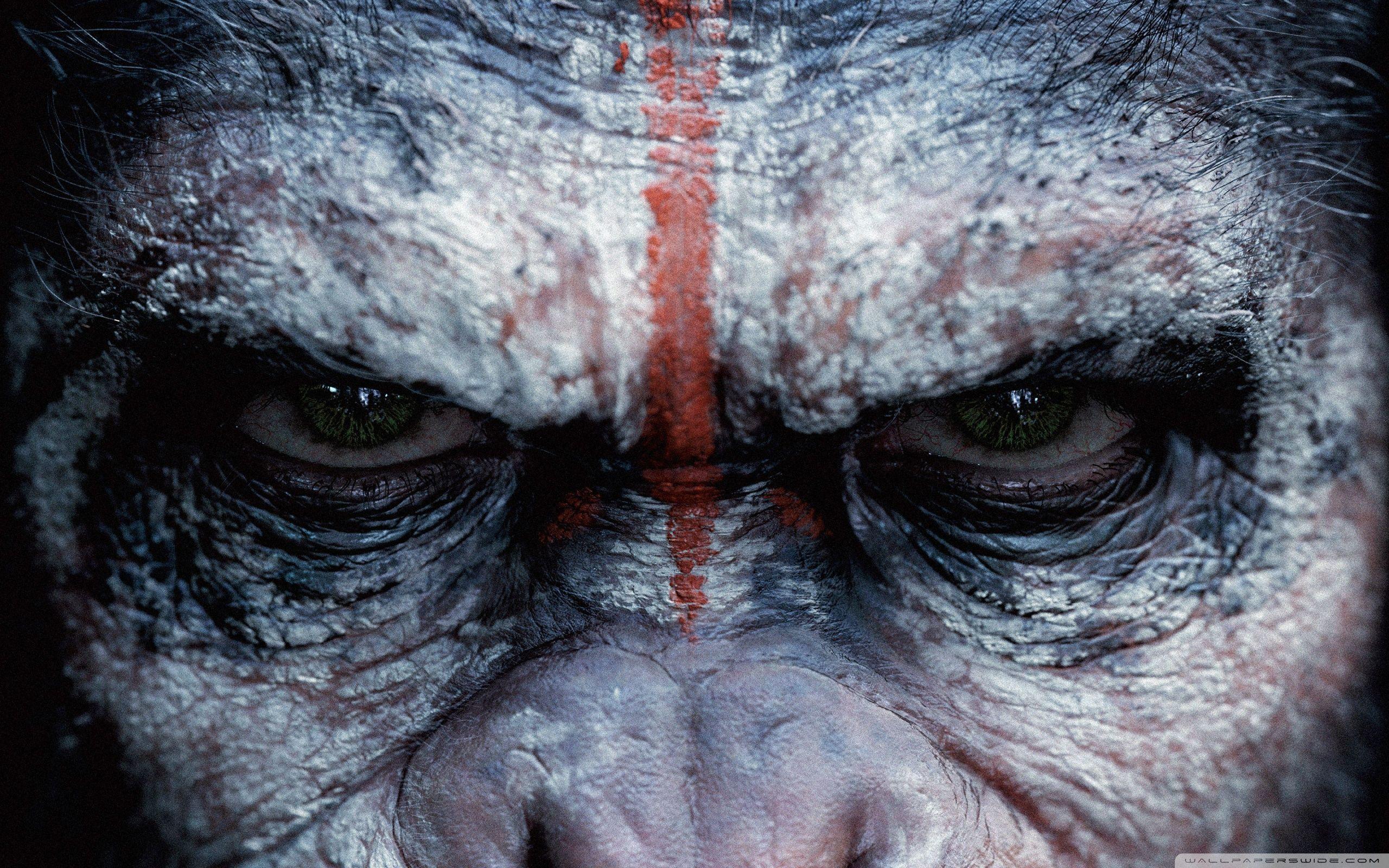Dawn of the Planet of the Apes Caesar ❤ 4K HD Desktop Wallpaper