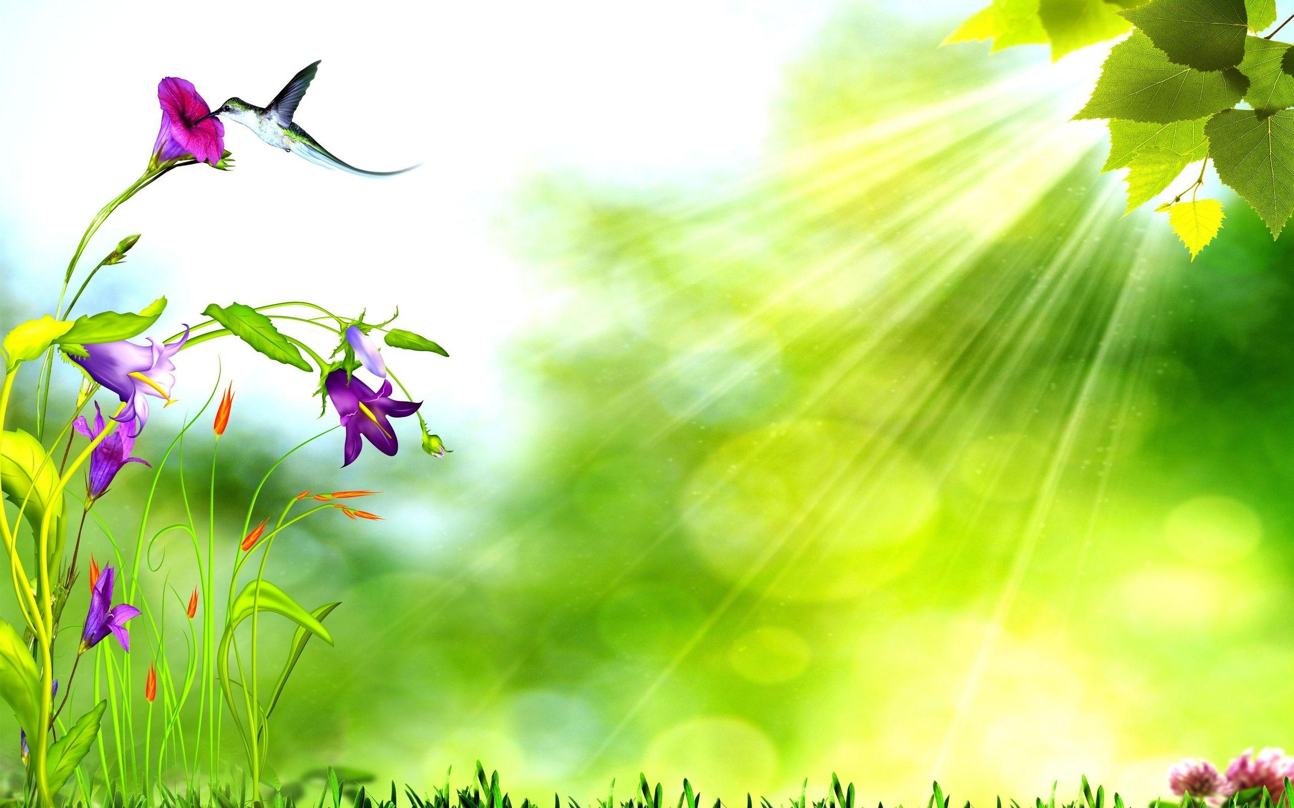 Green Nature Flowers Background Wallpaper. HD Desktop Background