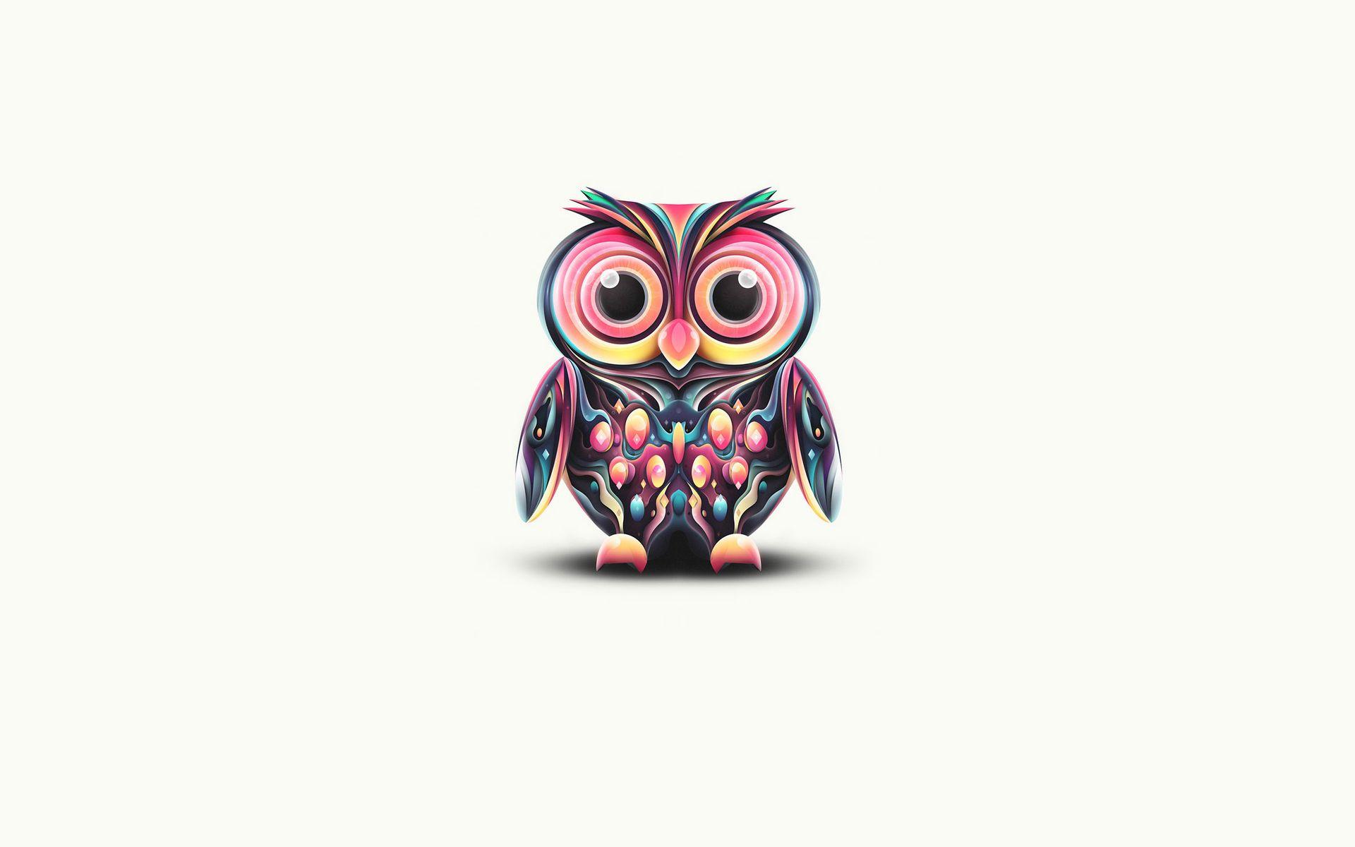 Cute Owl Wallpaper 15767 1920x1200 px