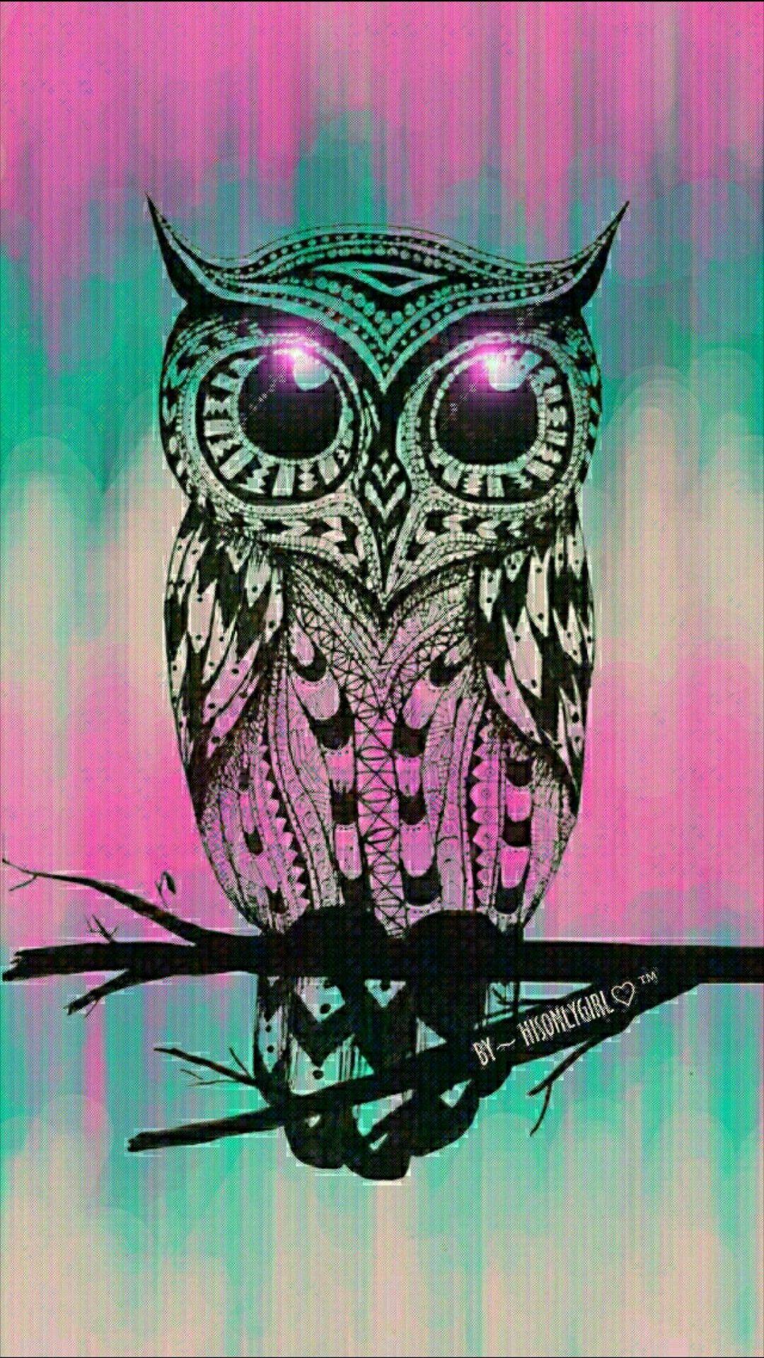 Colorful Cartoon Owl Wallpaper For Android Is 4K Wallpaper