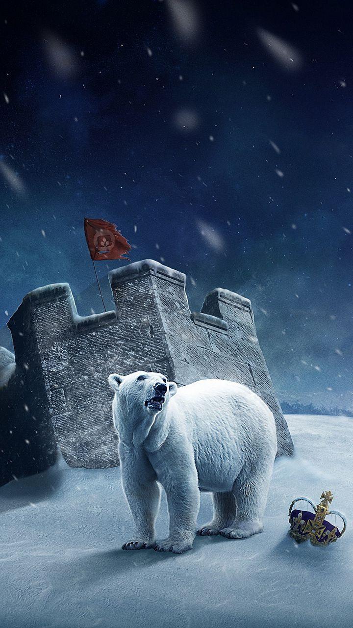 Polar King for Galaxy S3 wallpaper wallpaper free download
