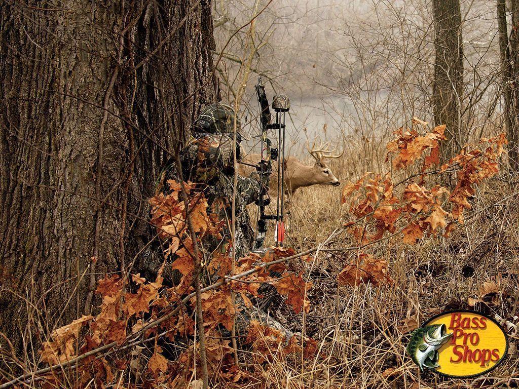 hunting woods background