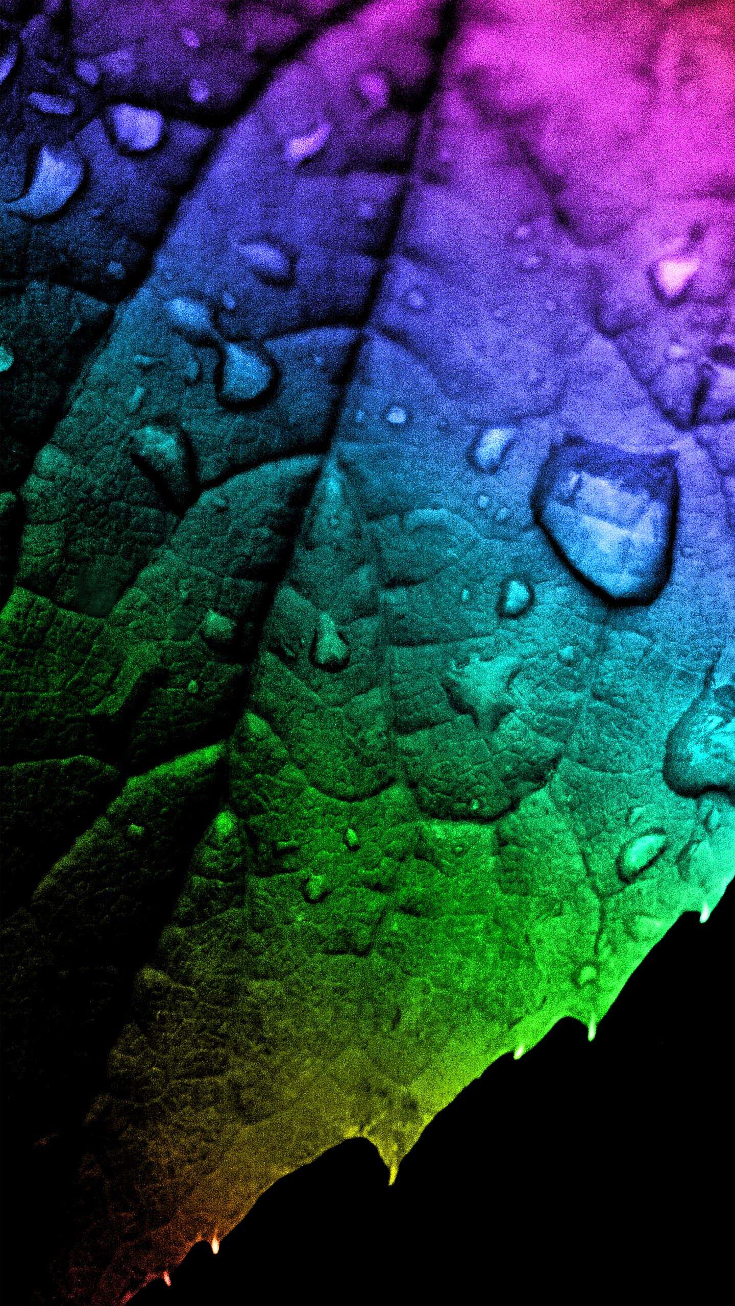 Samsung Galaxy S7 Rainbow Leaf Wallpaper