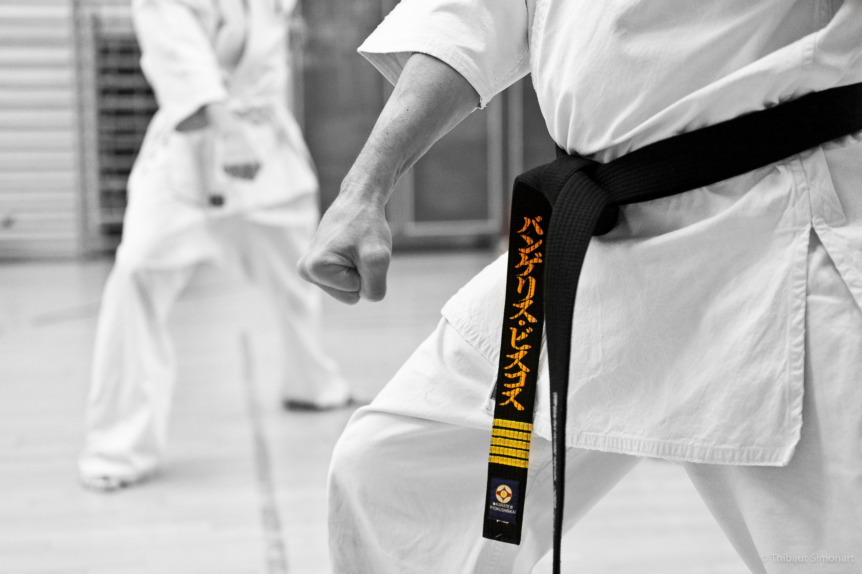 black and white karate wallpaper. Kyokushin, Kyokushin karate, Karate