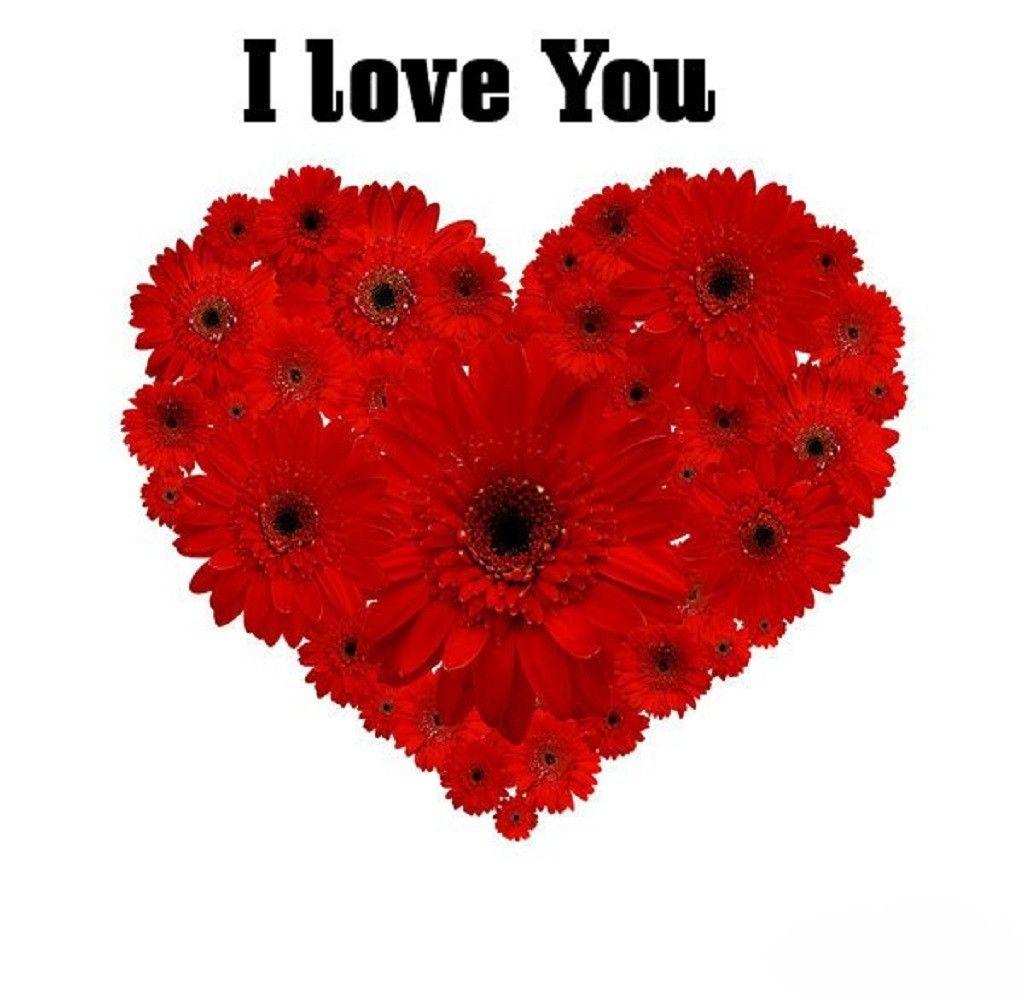 Flowers: Love Flowers Heart Red Desktop Flower Wallpaper Download