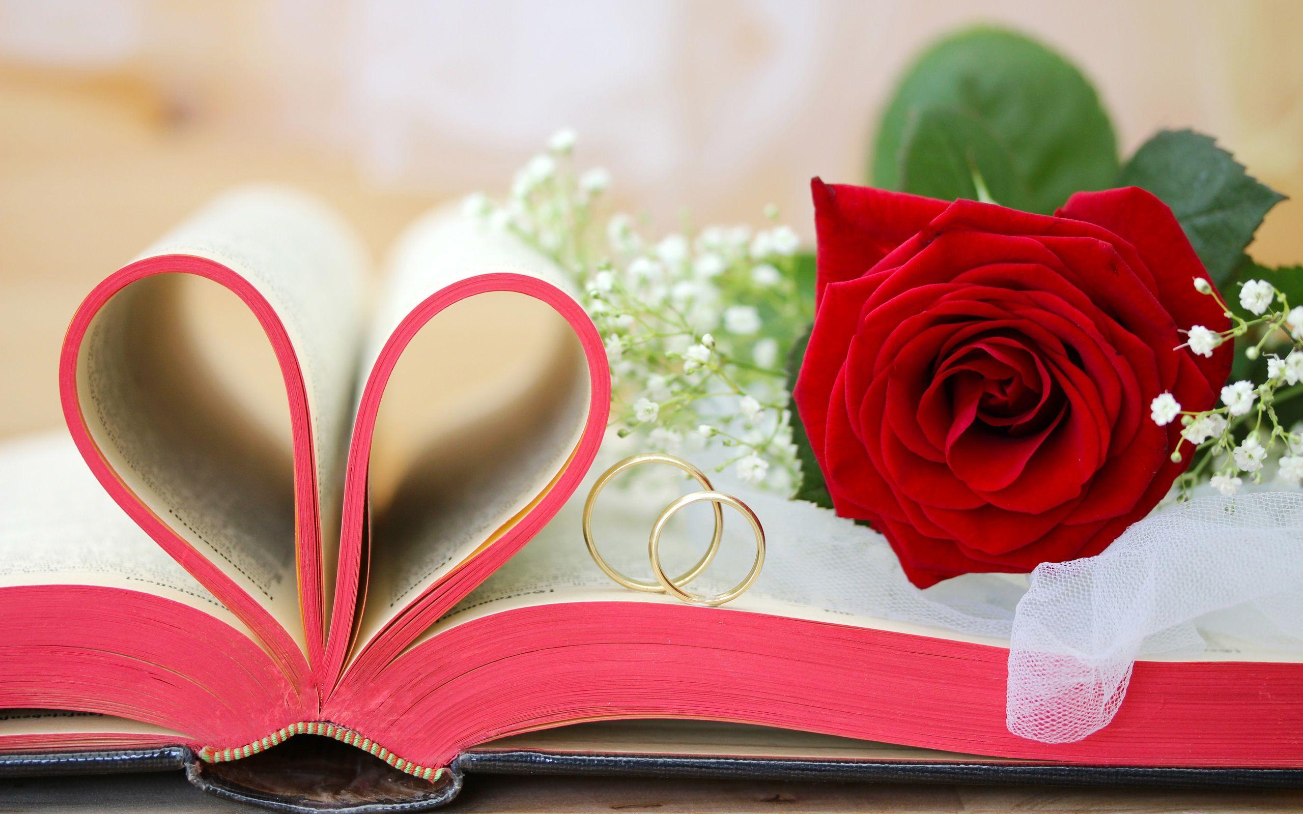Red flowers, roses, Valentine's Day, book, love hearts, rings