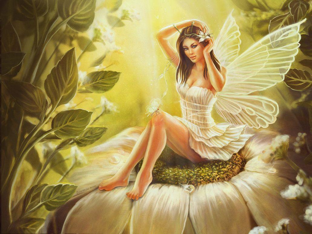 Fairies Wallpaper Background