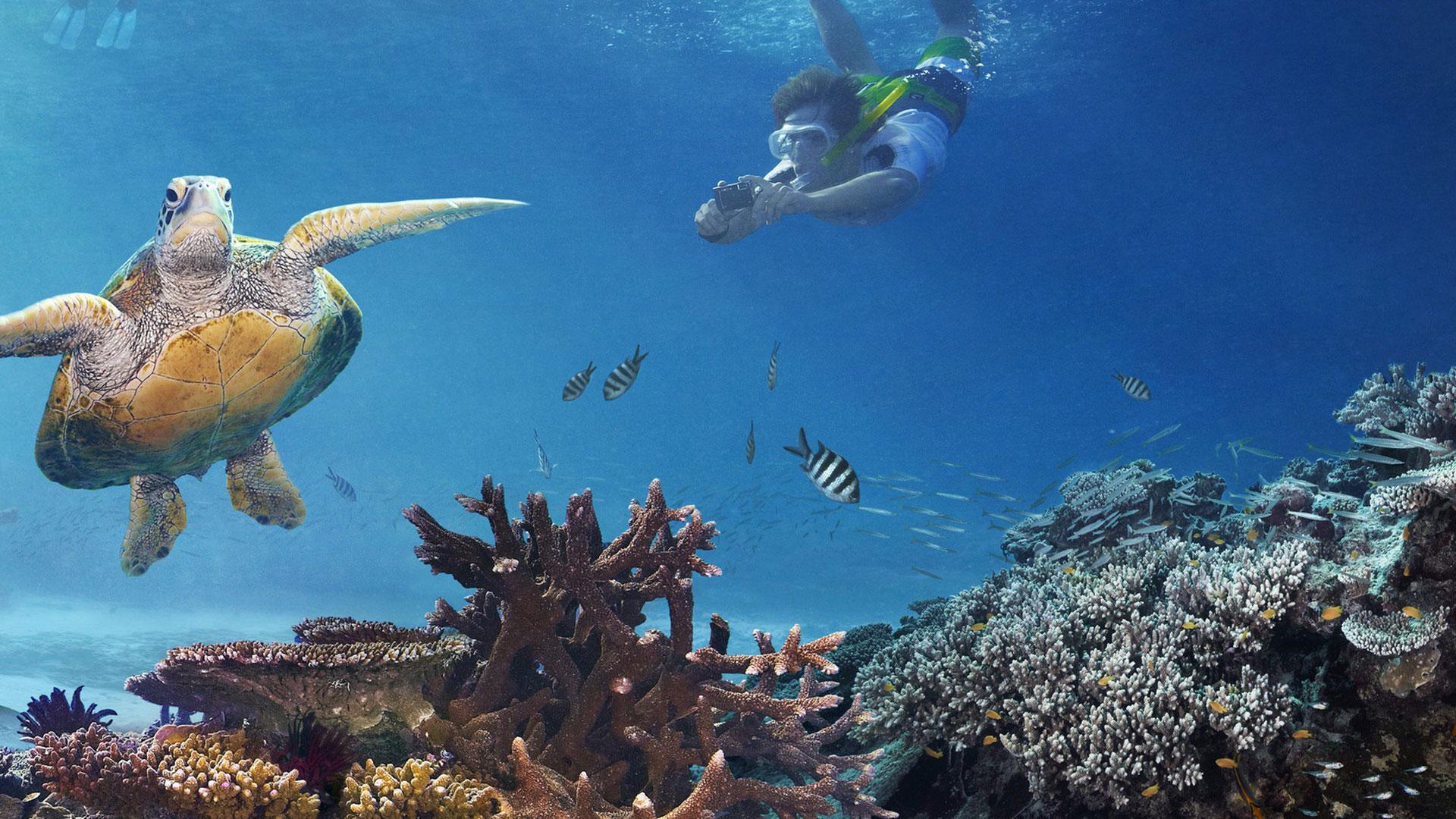Australia to use Great Barrier Reef as dumping site