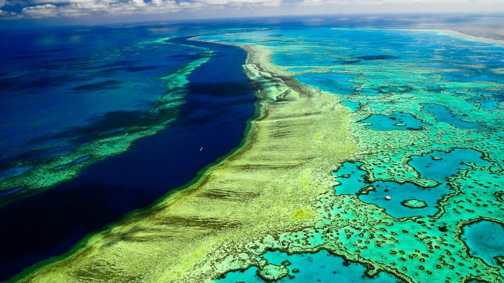 Great Barrier Reef Wallpaper, High Quality Background of Great